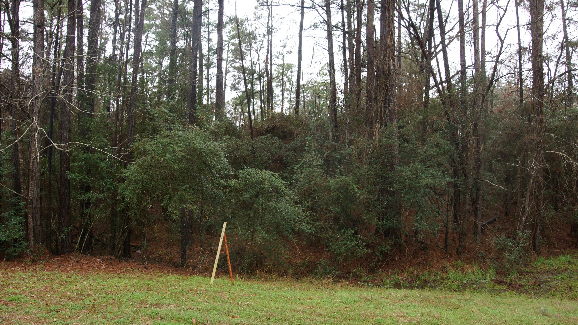 Tbd S Sunset Drive Property Photo 2