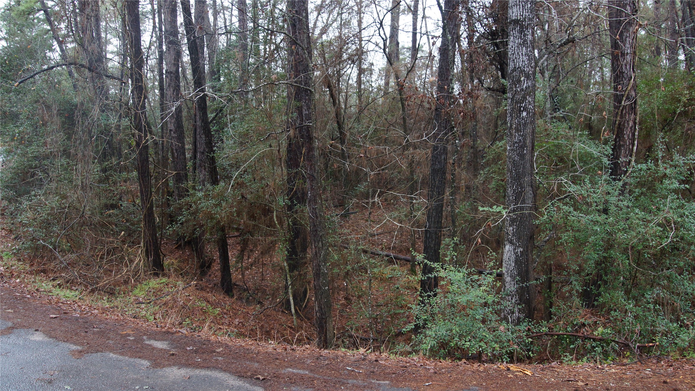 Tbd S Sunset Drive Property Photo 5