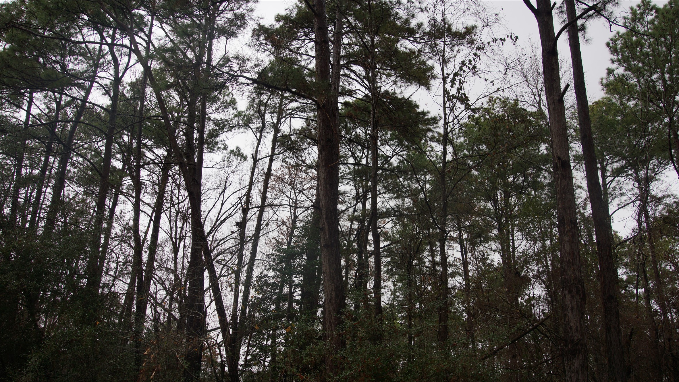 Tbd S Sunset Drive Property Photo 6