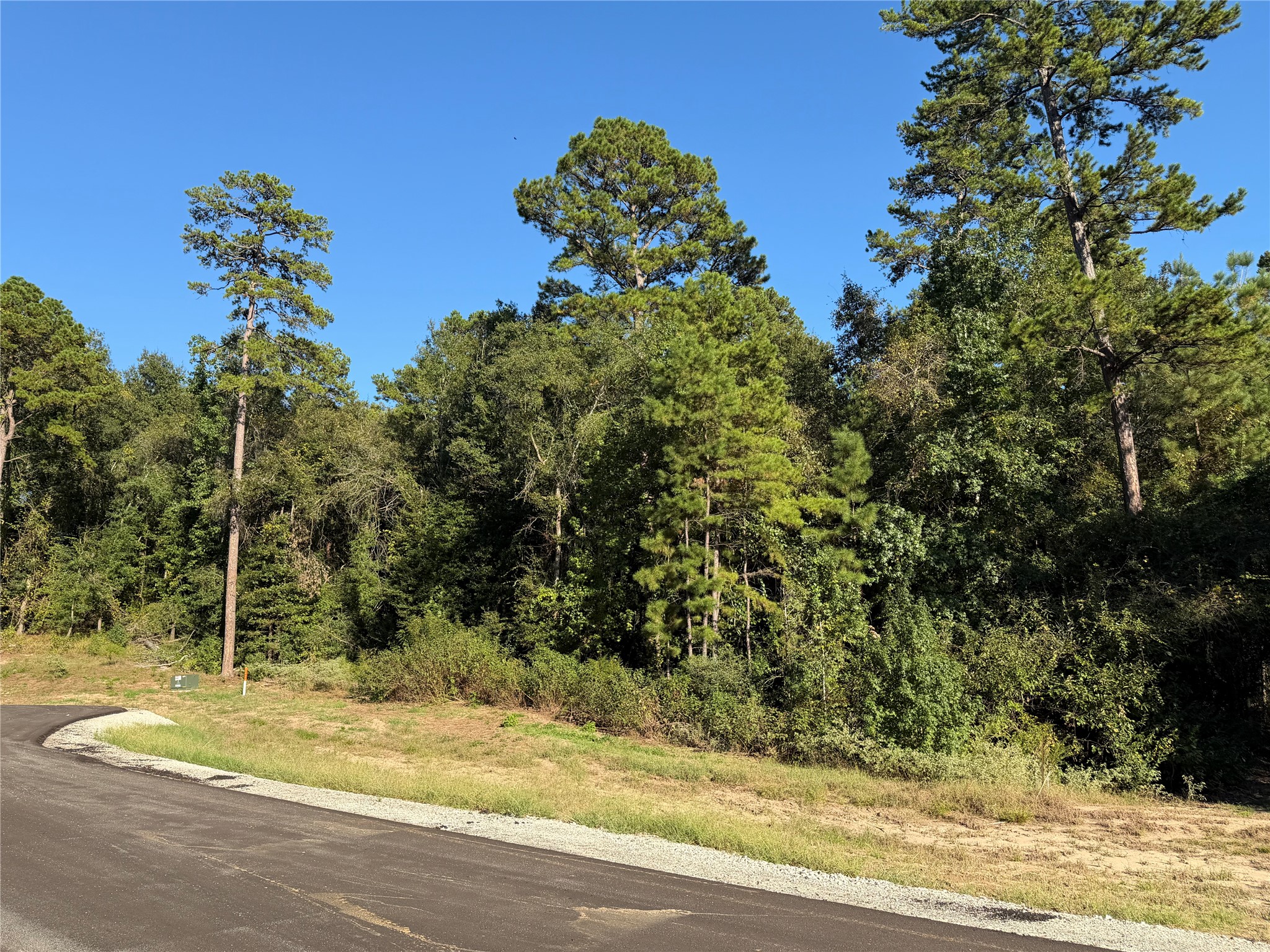 236 Hollow Hill Drive Property Photo 1