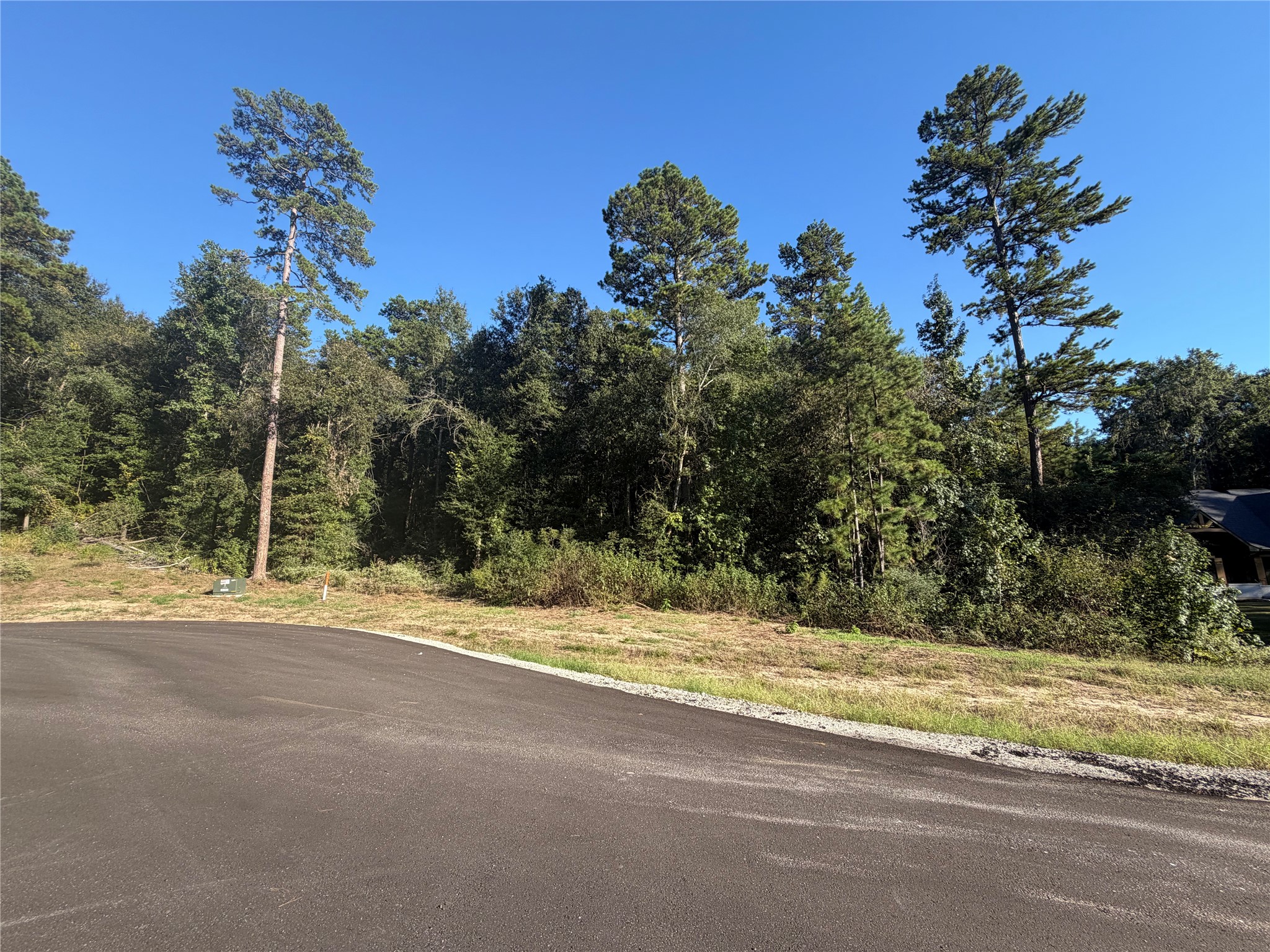 236 Hollow Hill Drive Property Photo 3