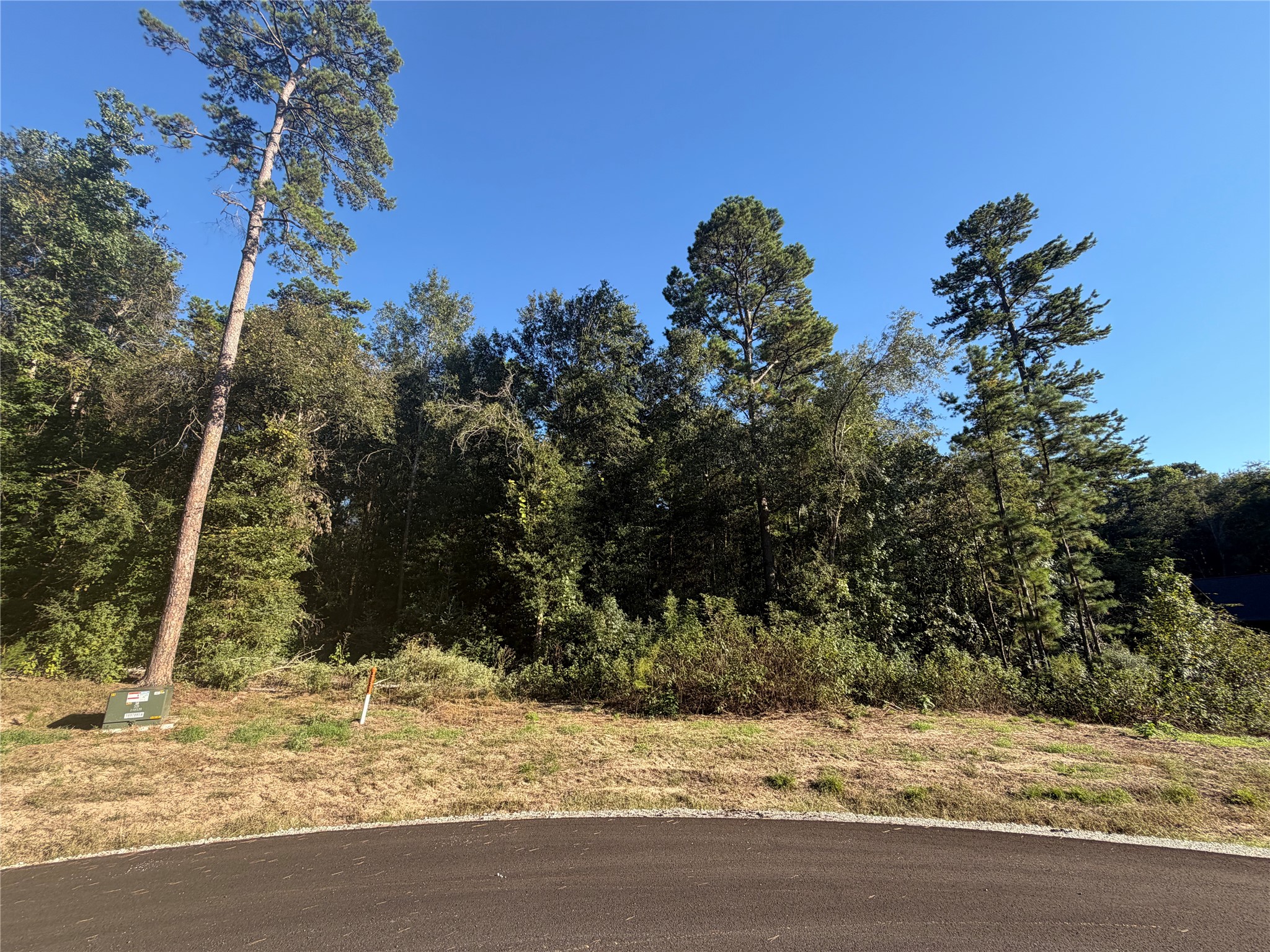 236 Hollow Hill Drive Property Photo 4