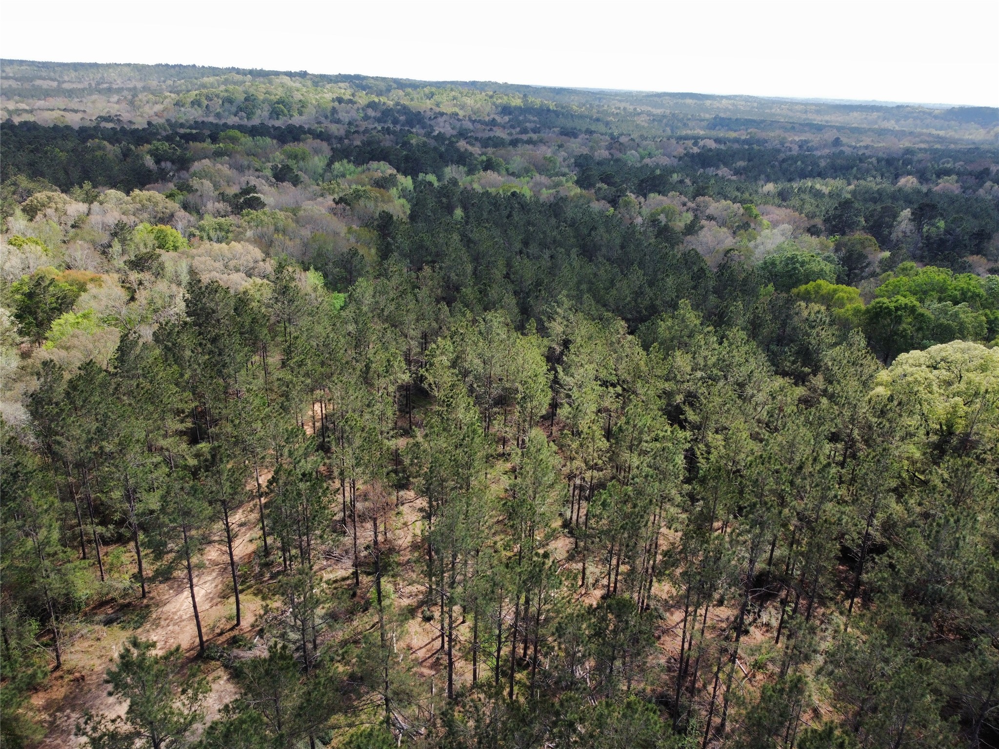 Tbd Fm 138 Property Photo 1
