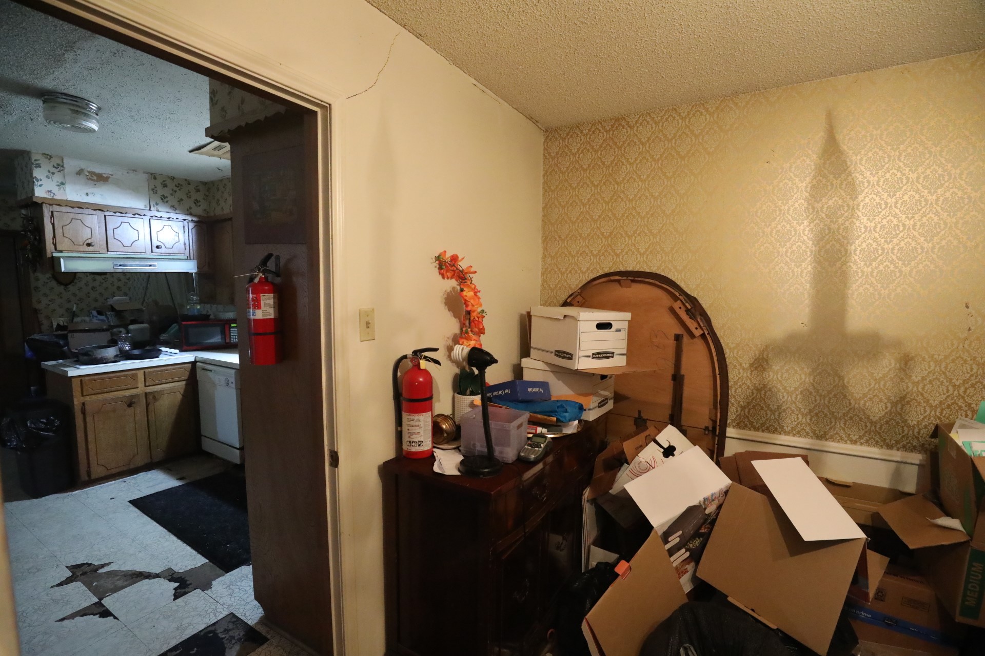 1119 Marcella Street Property Photo 8