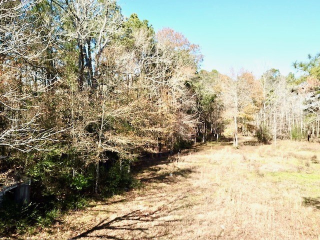 Tbd Cr 2222 Cobb Mill Road Property Photo 4