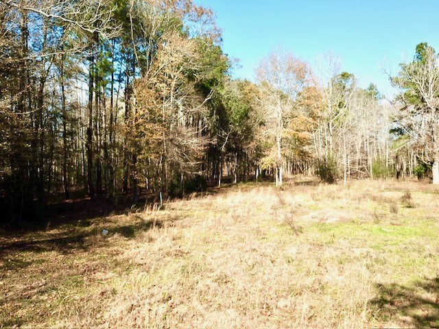 Tbd Cr 2222 Cobb Mill Road Property Photo 6