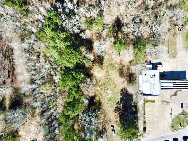 Tbd Cr 2222 Cobb Mill Road Property Photo 7