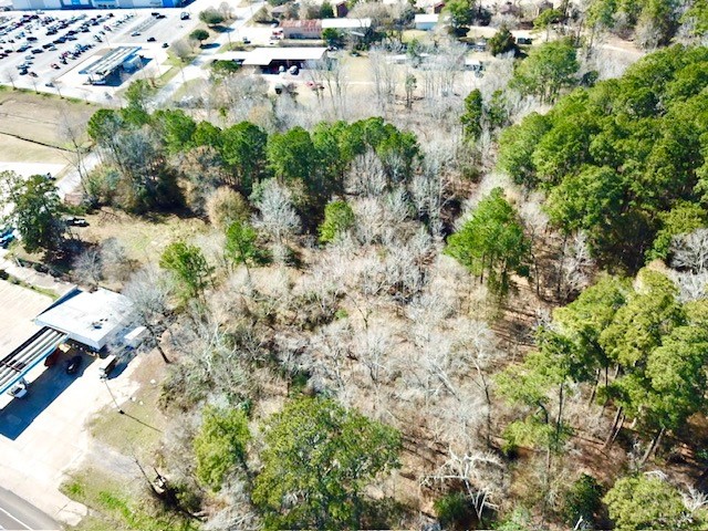 Tbd Cr 2222 Cobb Mill Road Property Photo 11