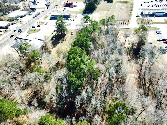 Tbd Cr 2222 Cobb Mill Road Property Photo 12