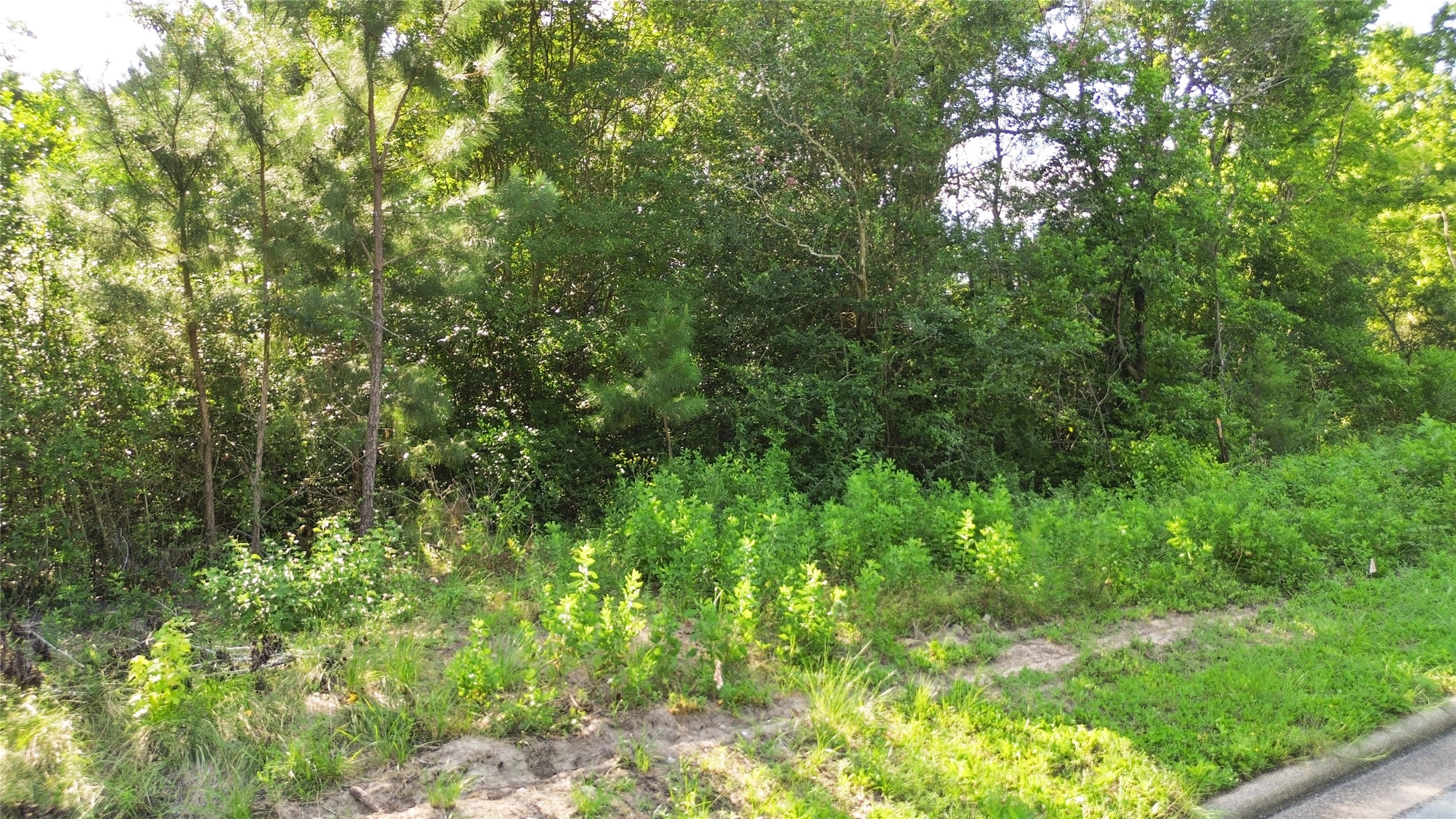 3800 Boettcher Drive Property Photo 4