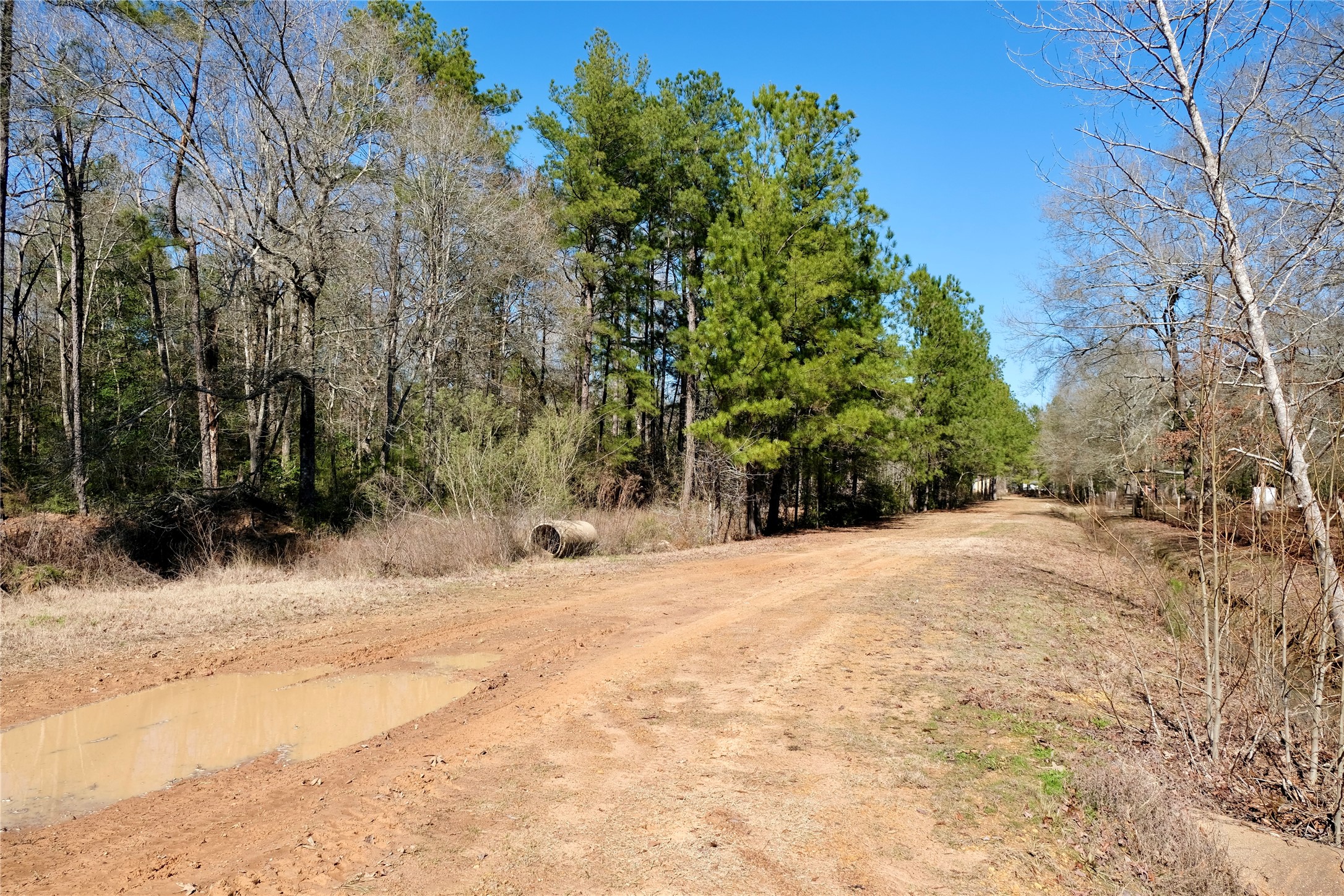 802 Bayou Oaks Street Property Photo