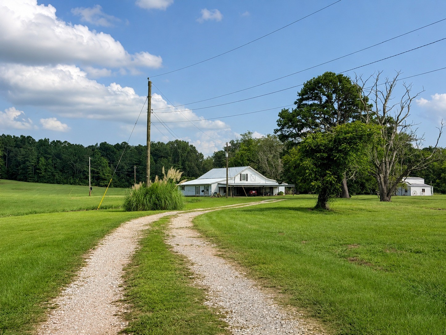 15410 Cr-354 Property Photo 1