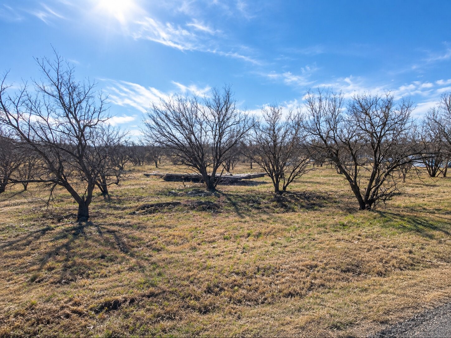 0 County Road 505 Property Photo 2