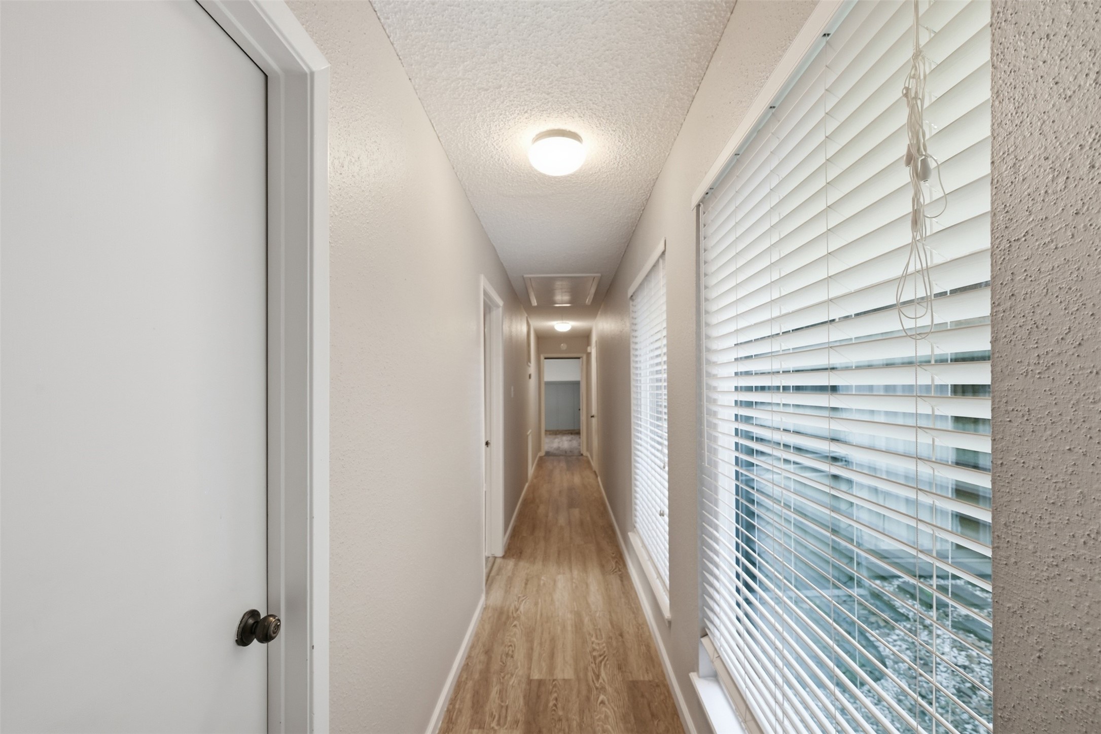 3502 Plum Brook Lane Property Photo 16