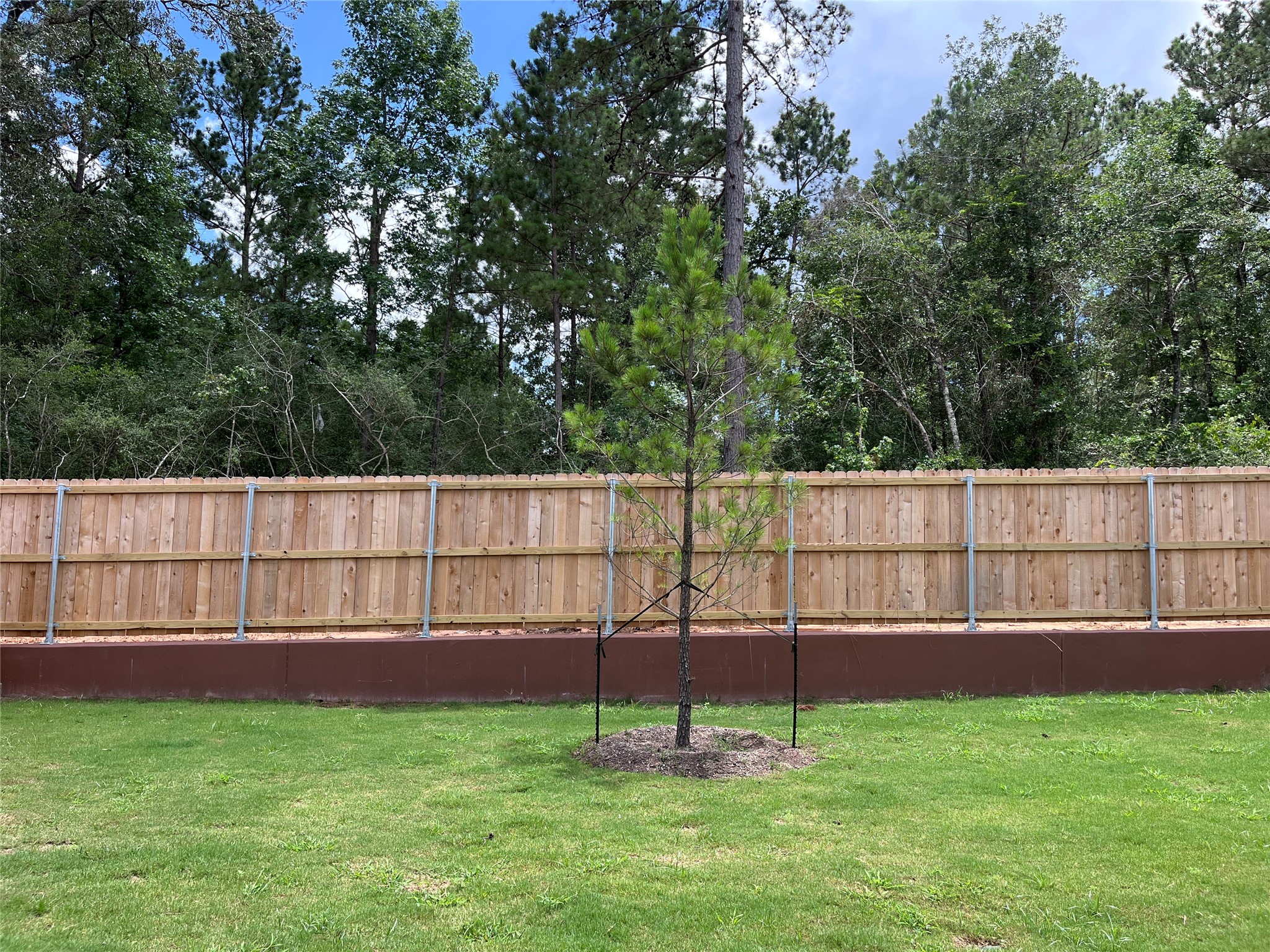 26151 Treetop Terrace Lane Property Photo 33