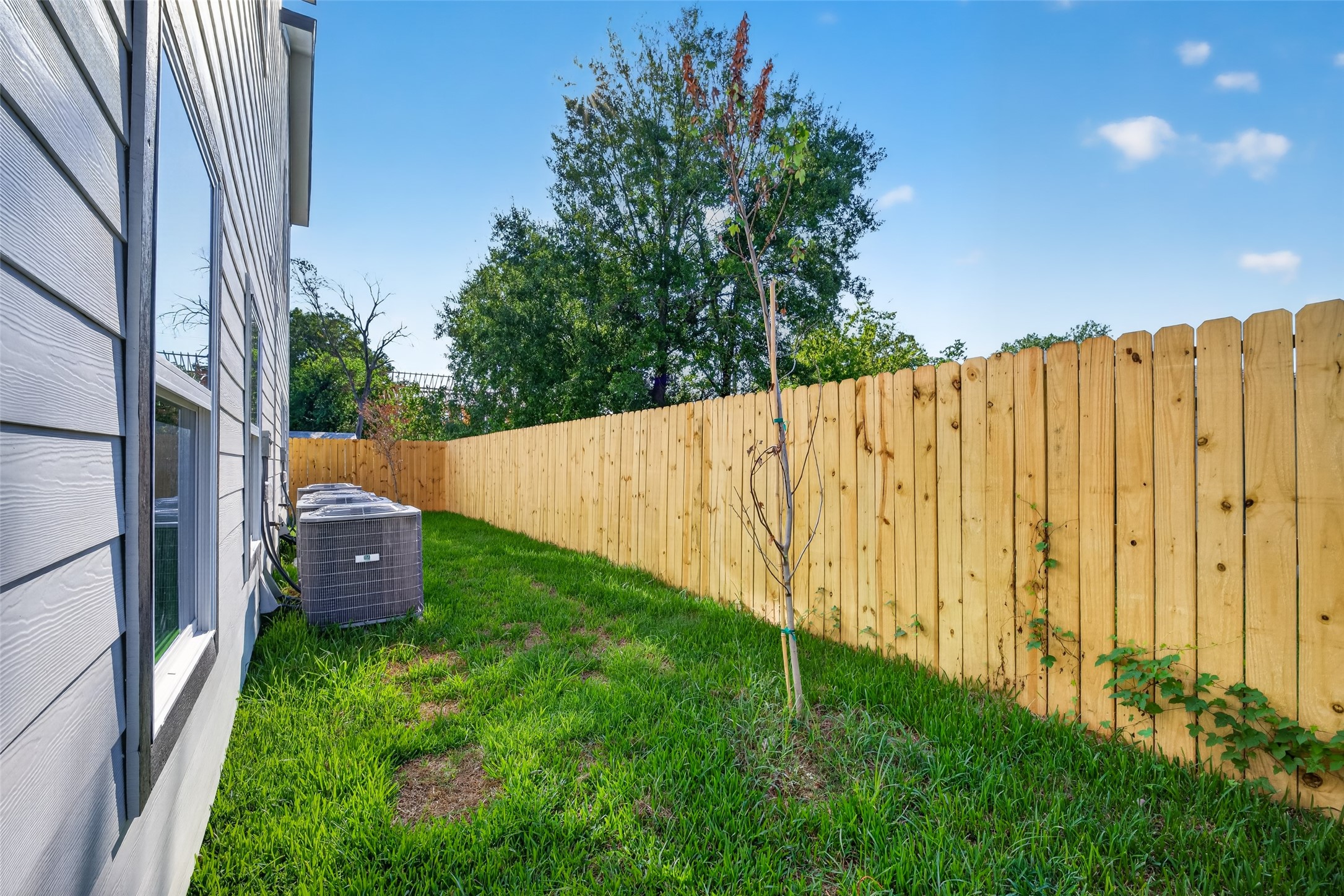 306 Bolden Street B Property Photo 18