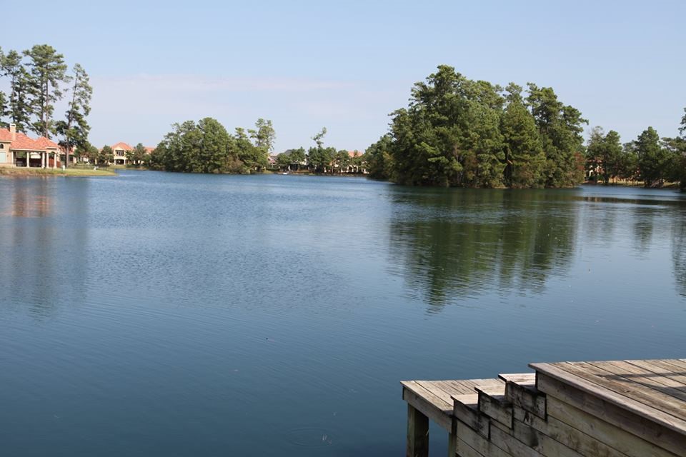 1115 Compass Cove Circle Property Photo 33