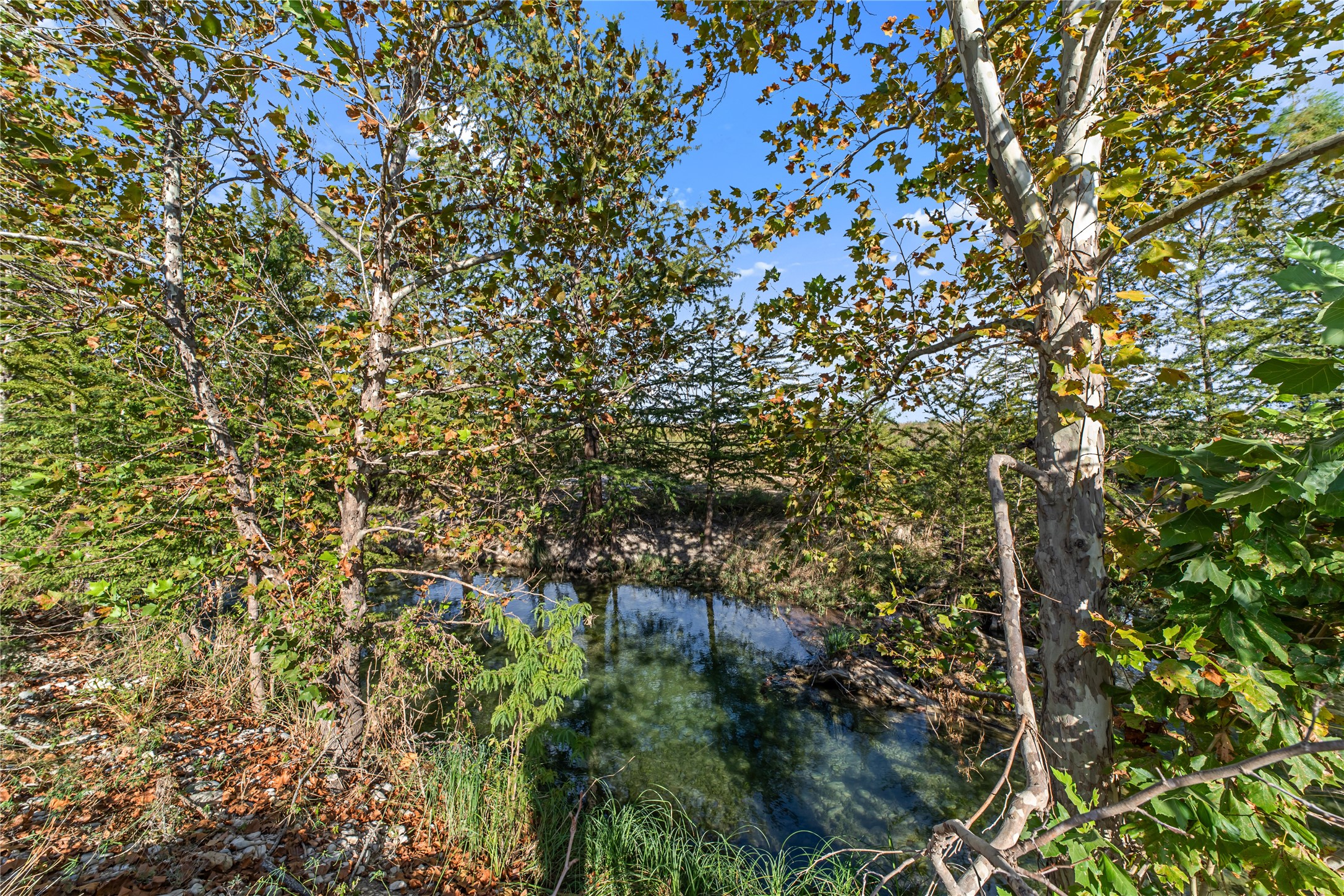 1024 Medina Bend Road Property Photo 41