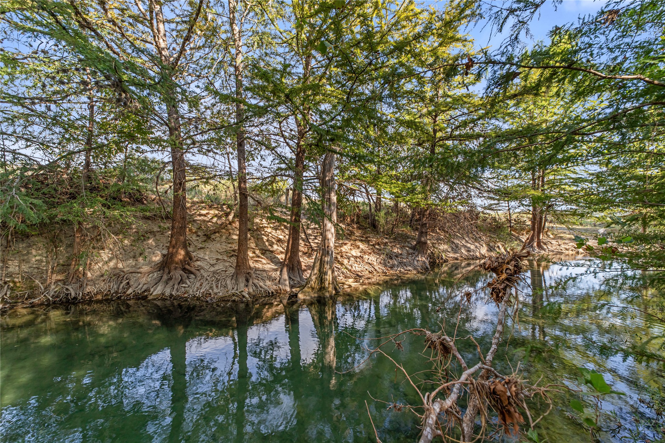 1024 Medina Bend Road Property Photo 42