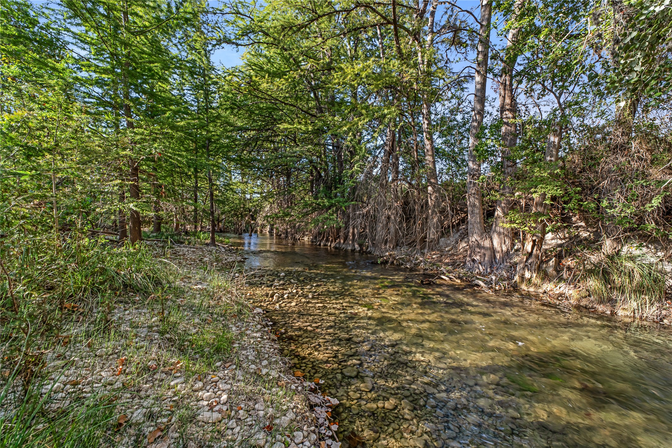 1024 Medina Bend Road Property Photo 43