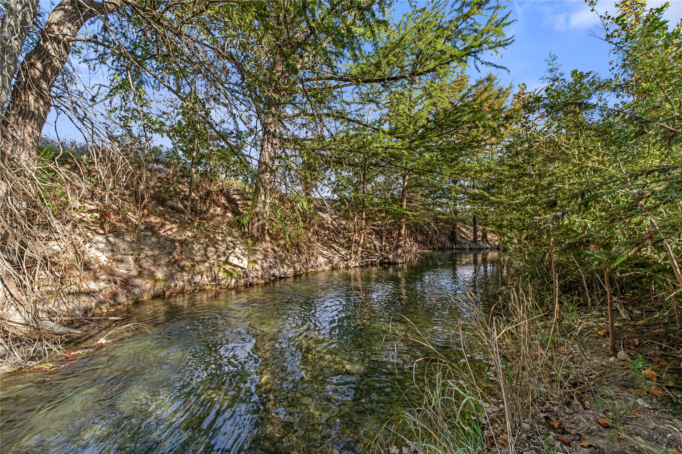 1024 Medina Bend Road Property Photo 44