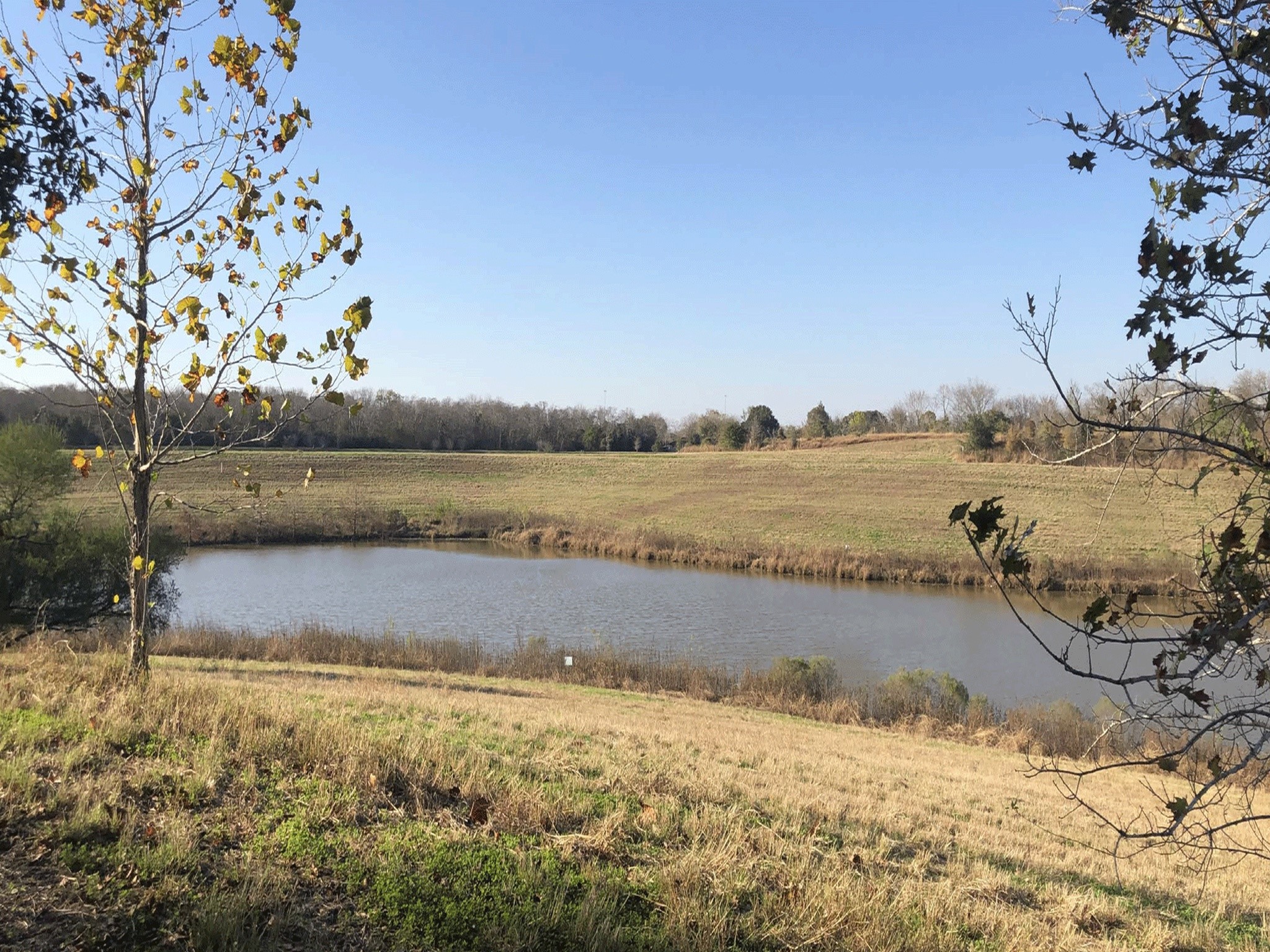 12304 Churchill Downs Drive Property Photo 25