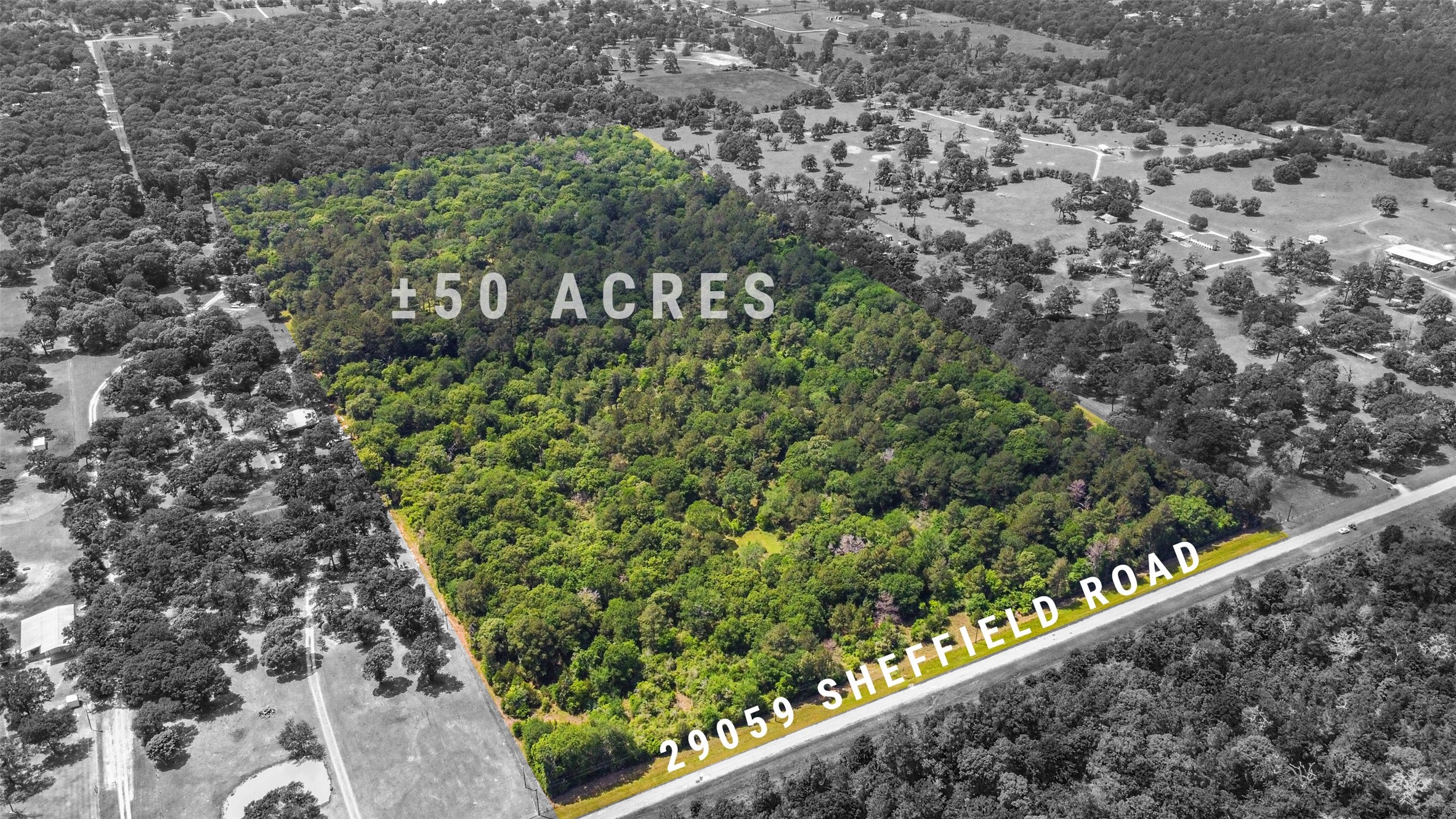 29059 Sheffield Road Property Photo 1