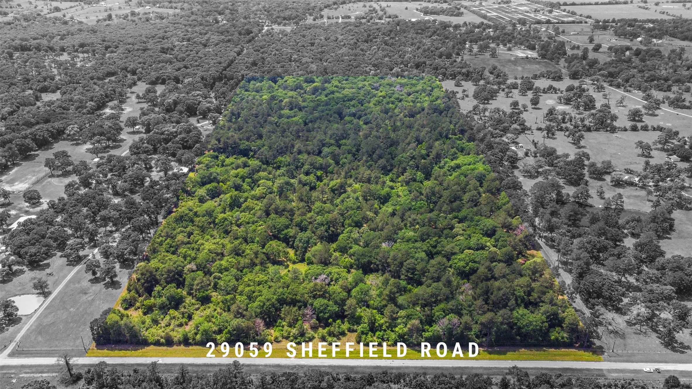 29059 Sheffield Road Property Photo 3