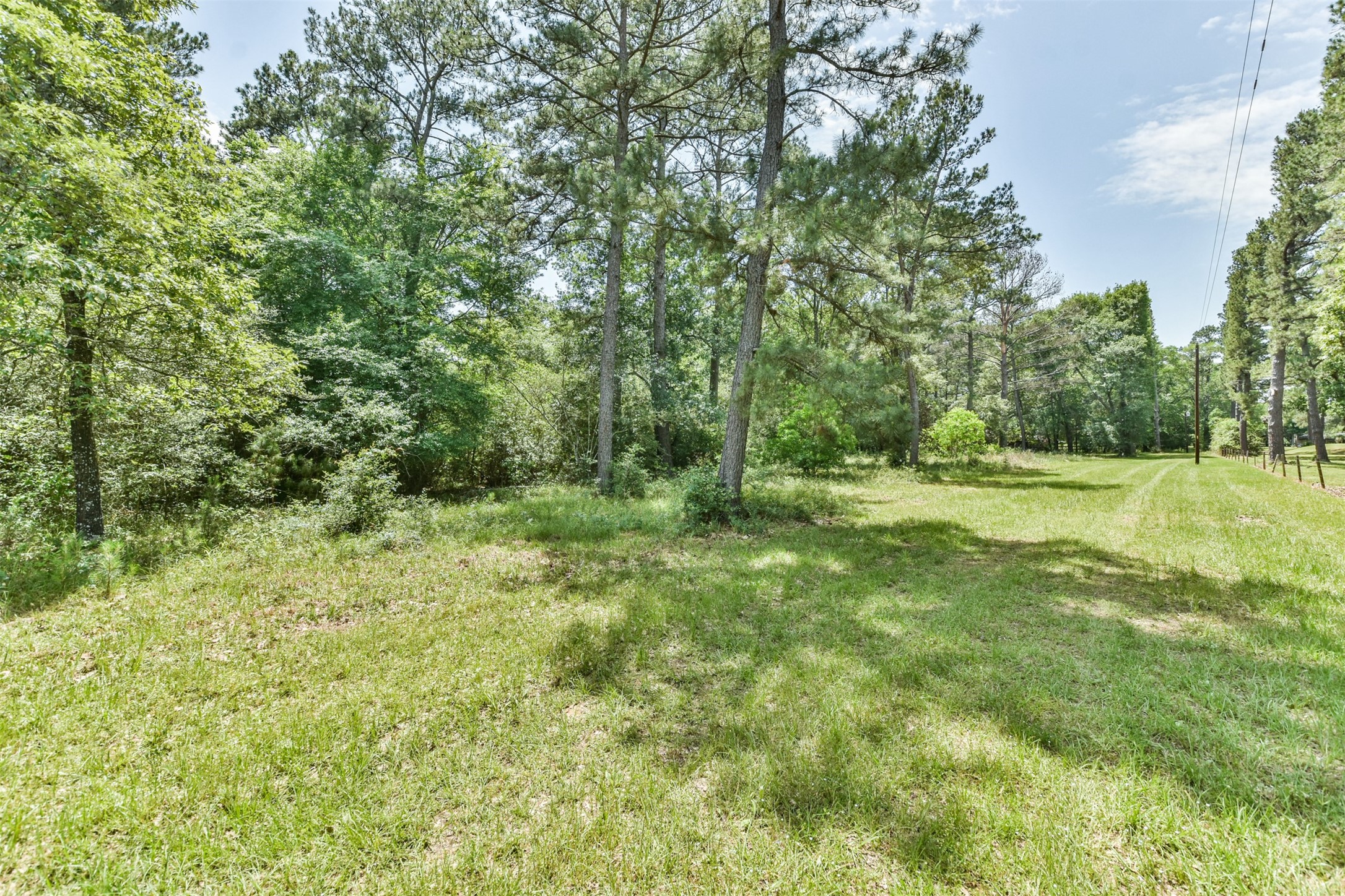 29059 Sheffield Road Property Photo 10