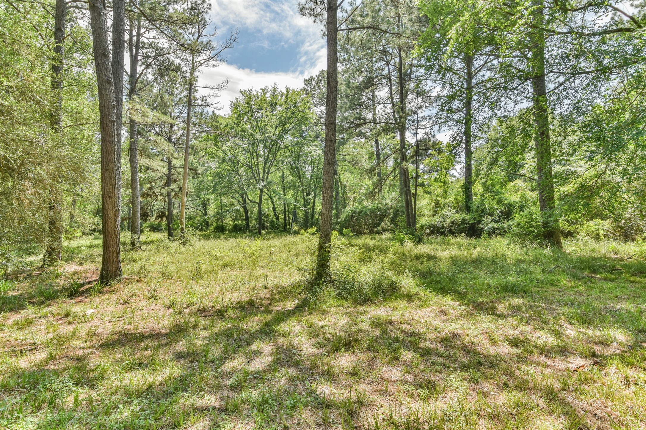 29059 Sheffield Road Property Photo 14