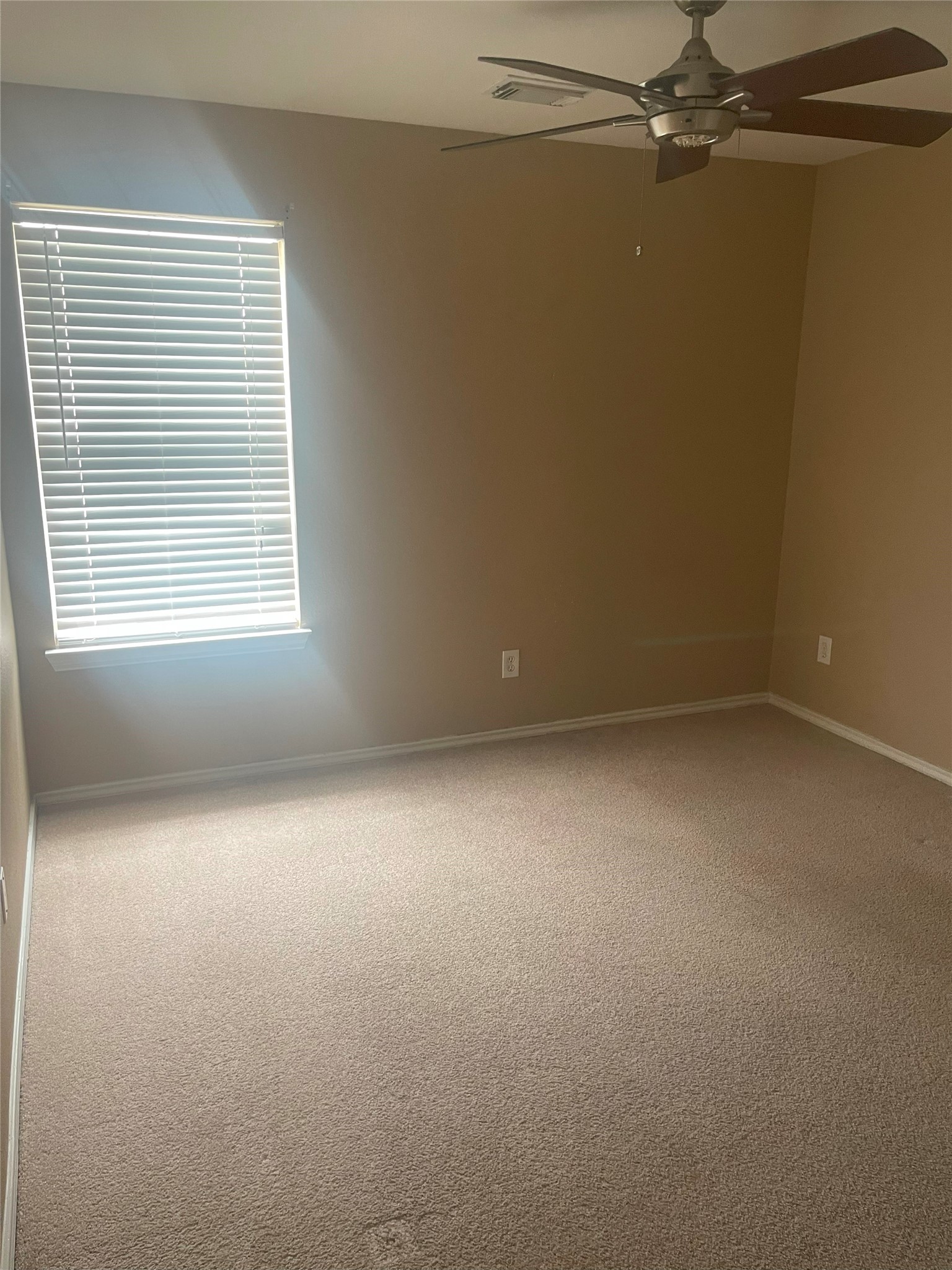 5815 Vinemont Lane Property Photo 20