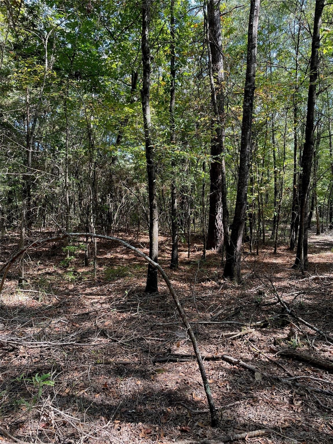 T3 Cr-3011 Property Photo 1