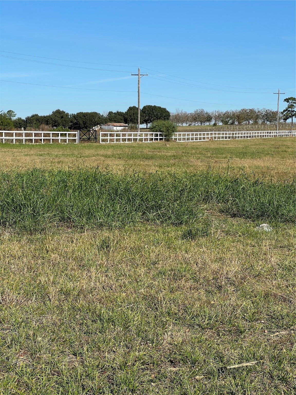 3320 Fm 149 East Property Photo 6