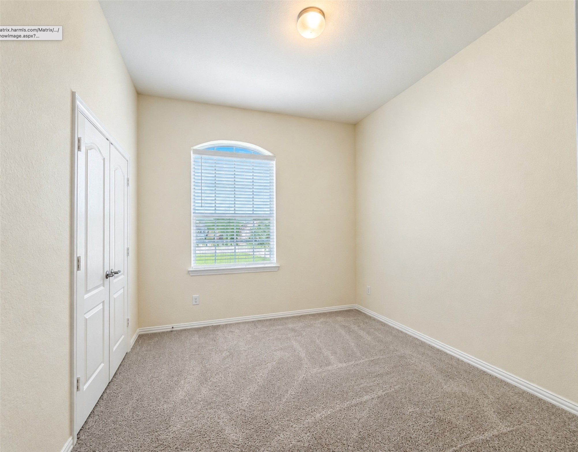 9734 Willowmoor Lane Property Photo 25