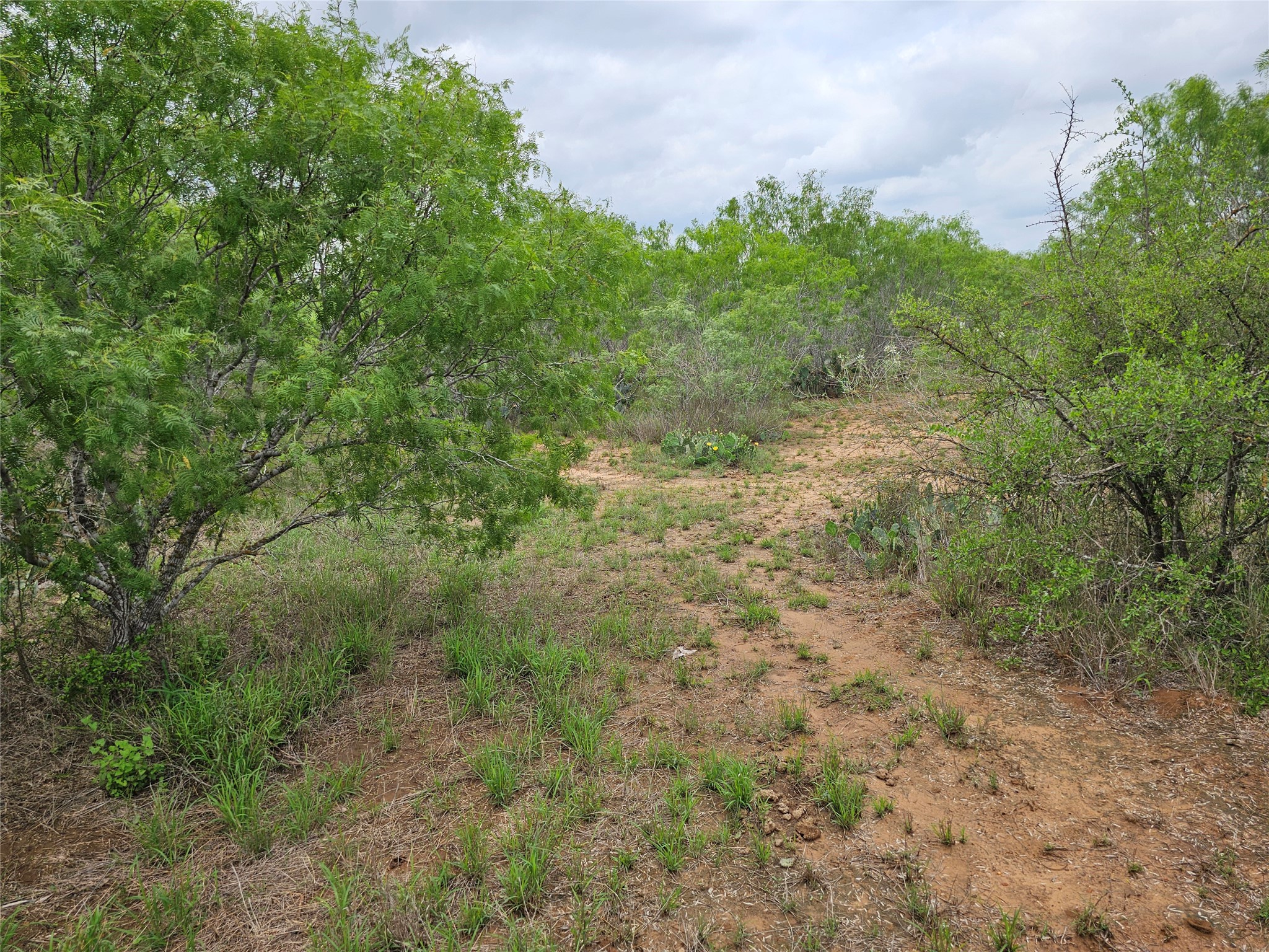 608 Country Breeze Property Photo 7