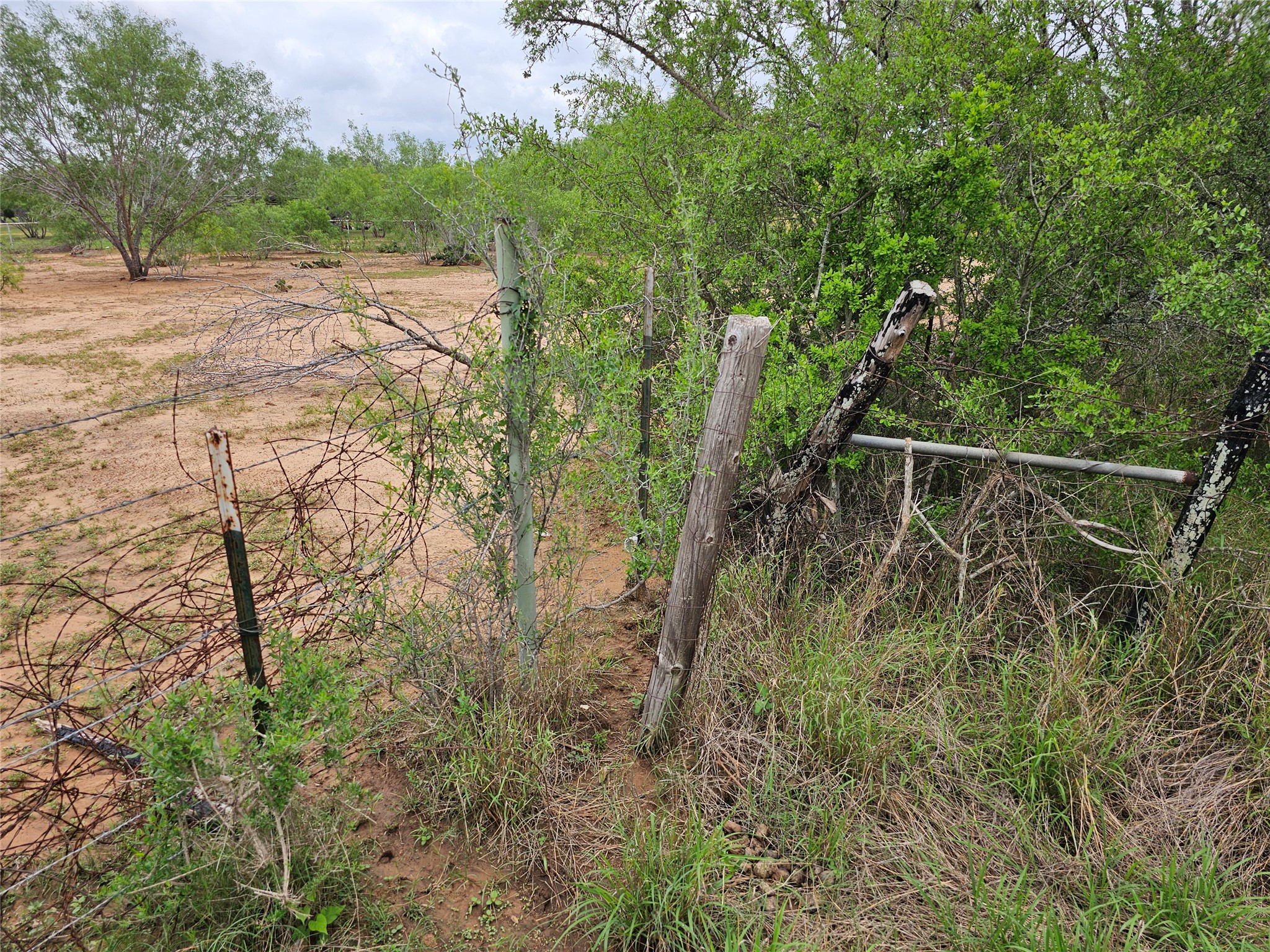 608 Country Breeze Property Photo 8