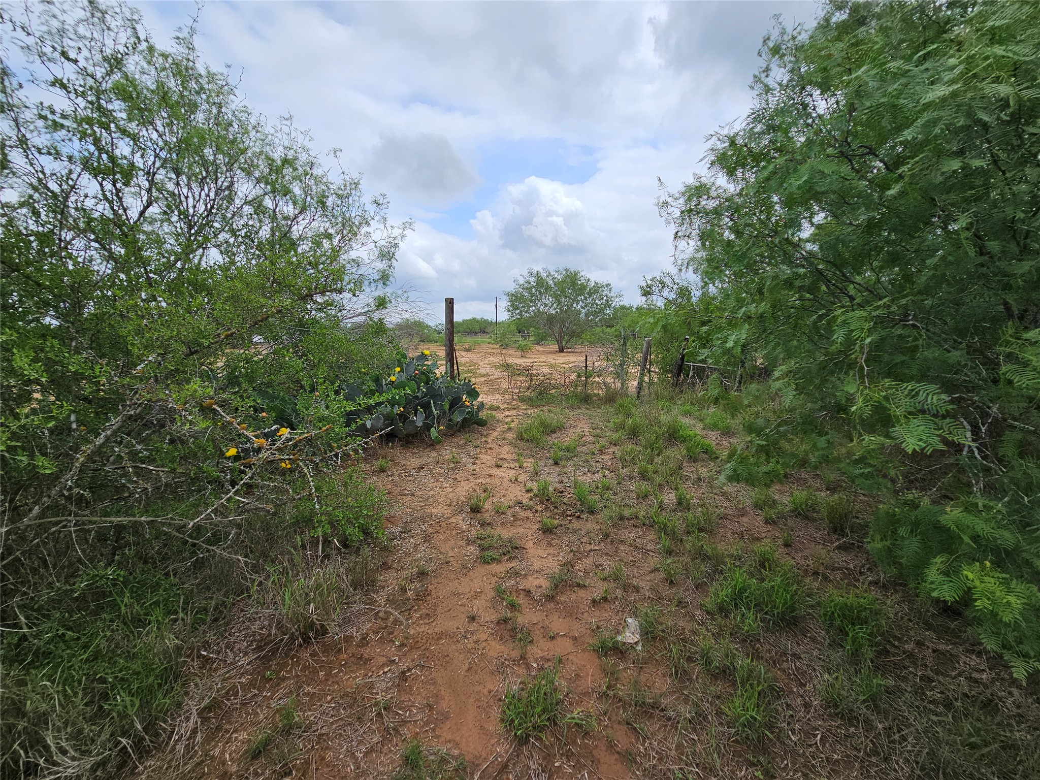 608 Country Breeze Property Photo 10