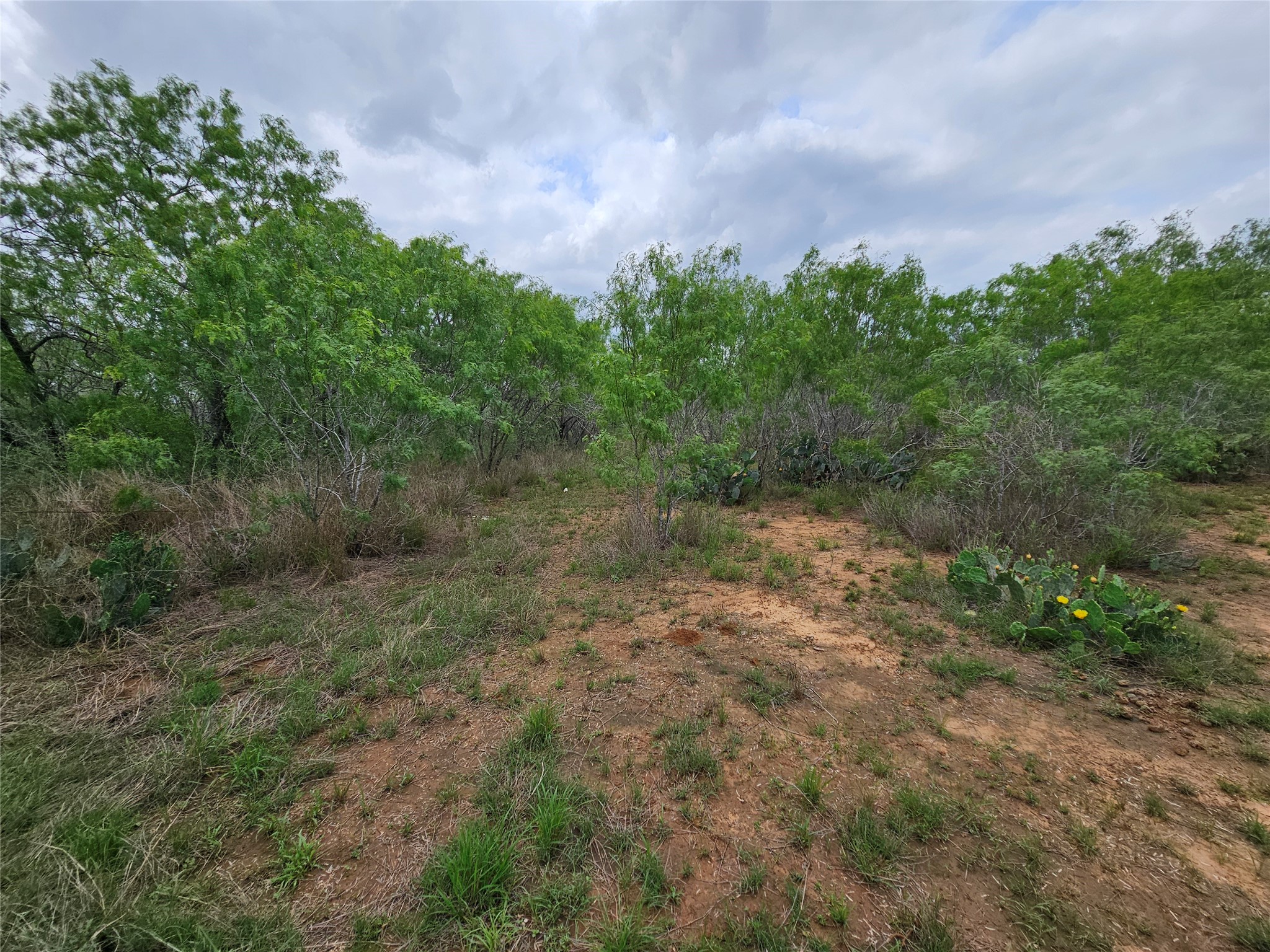 608 Country Breeze Property Photo 11