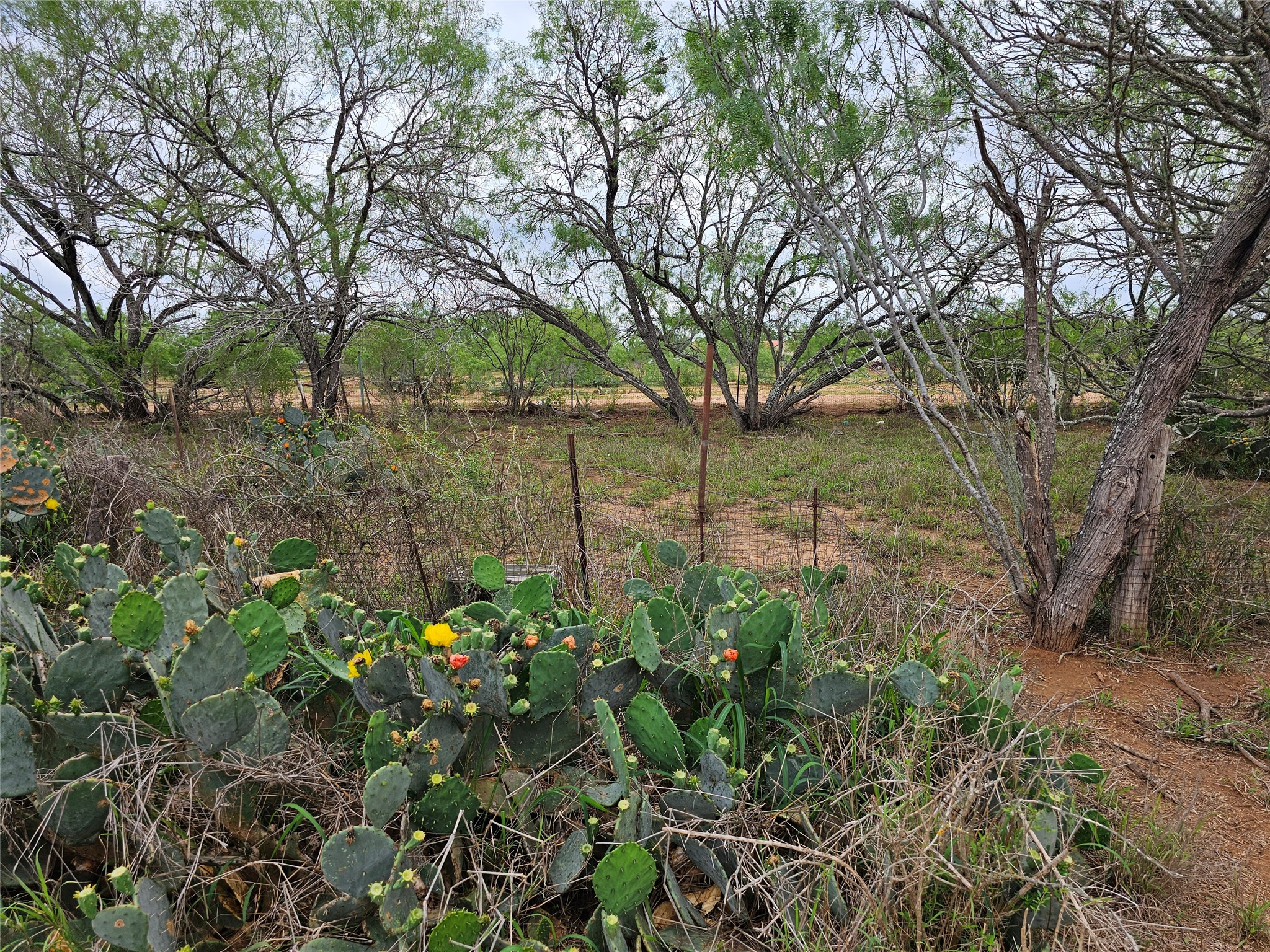 608 Country Breeze Property Photo 14