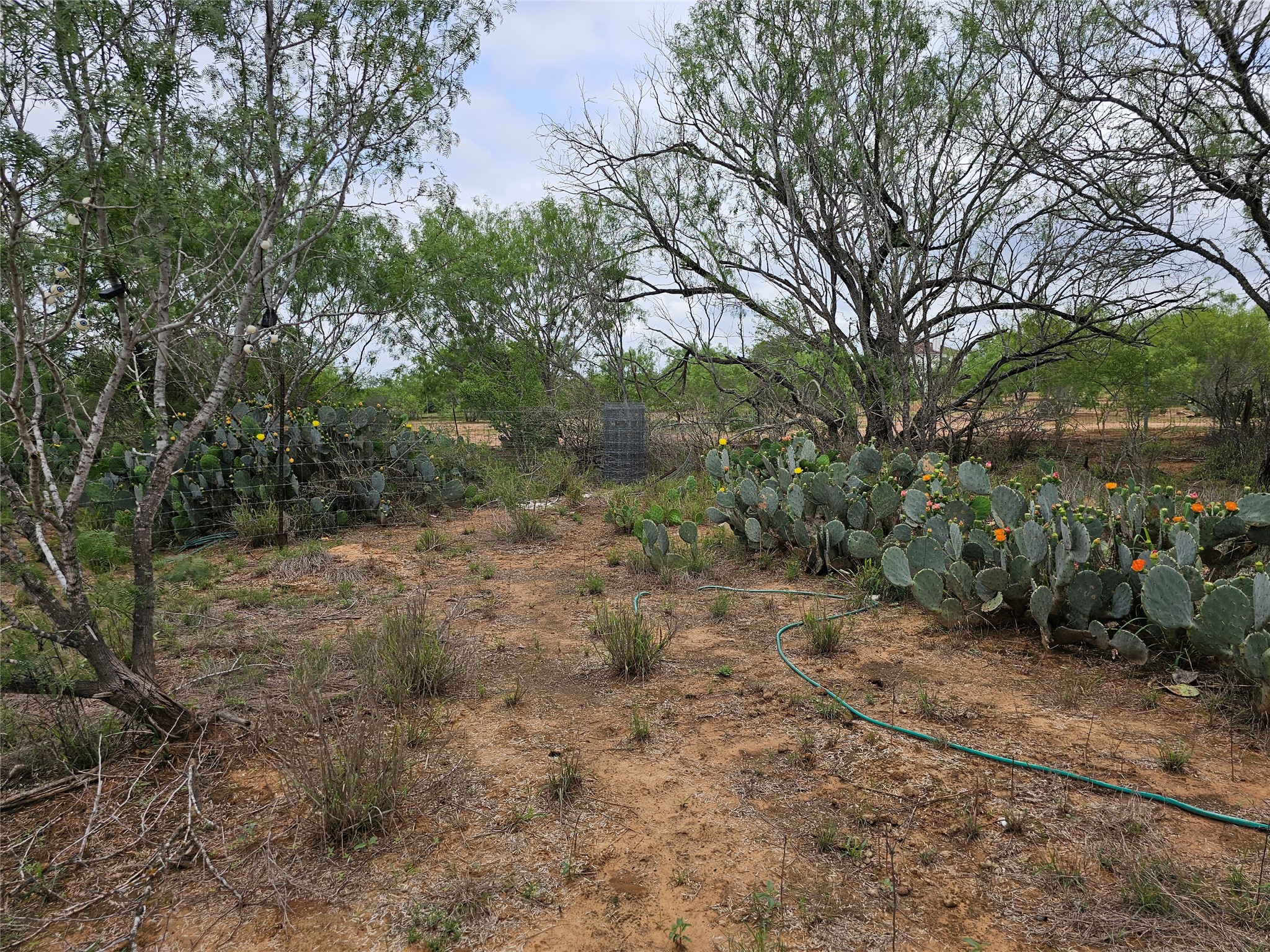 608 Country Breeze Property Photo 15