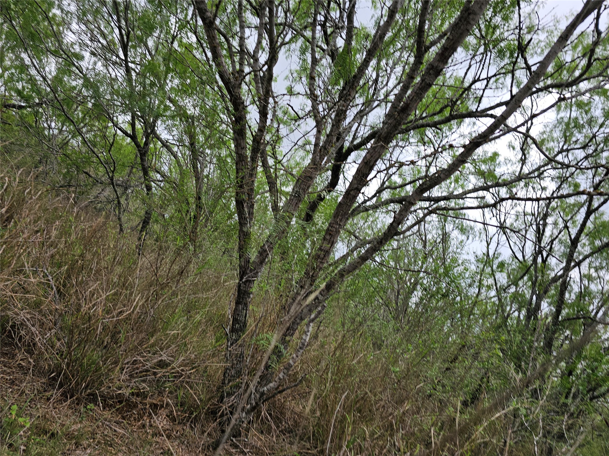 608 Country Breeze Property Photo 17