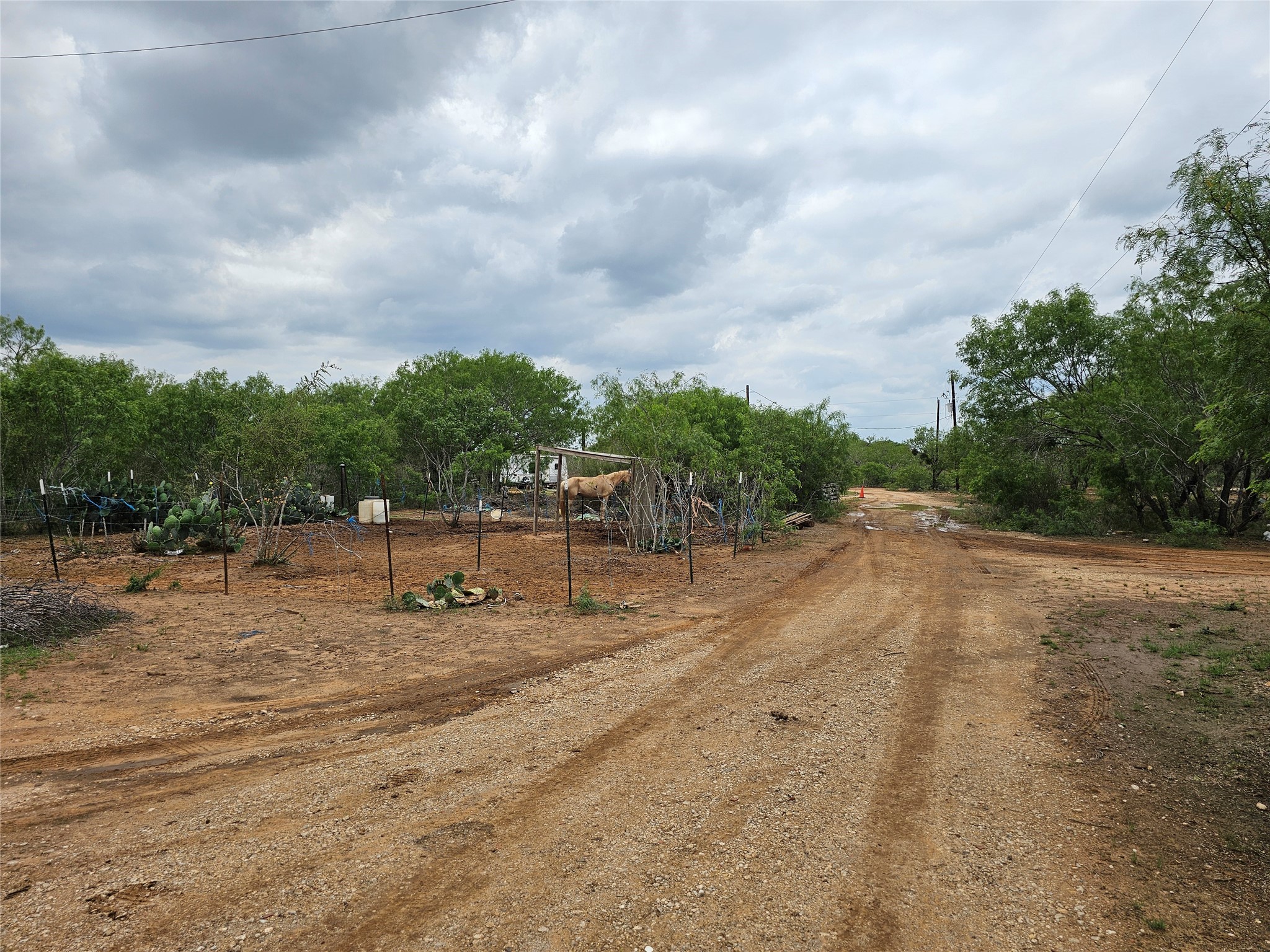 608 Country Breeze Property Photo 21