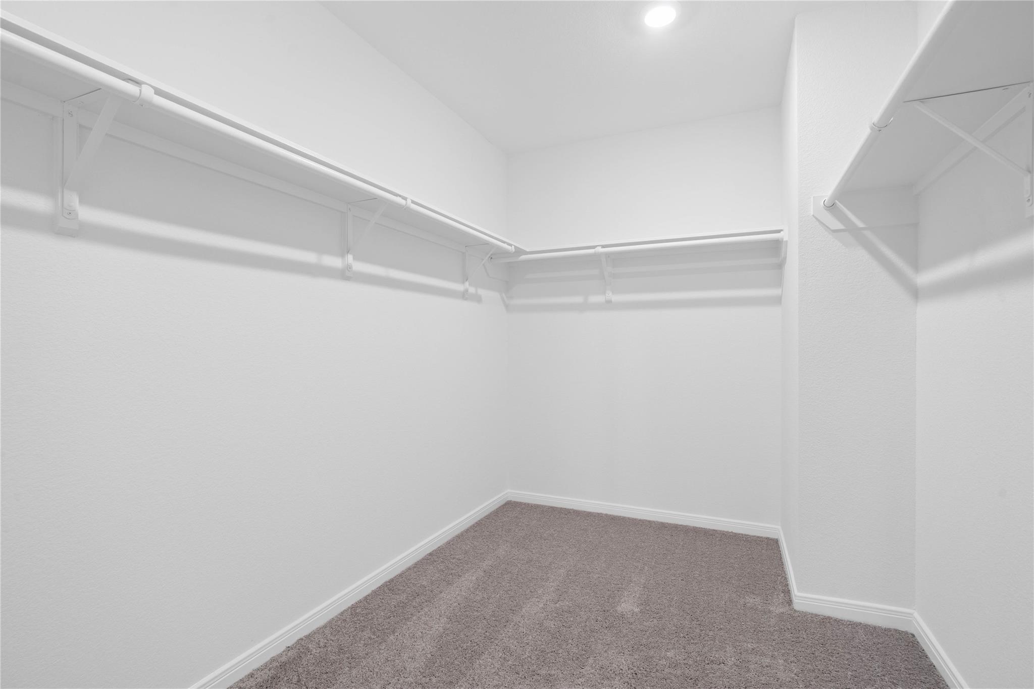 10160 Maple Cove Lane Property Photo 19