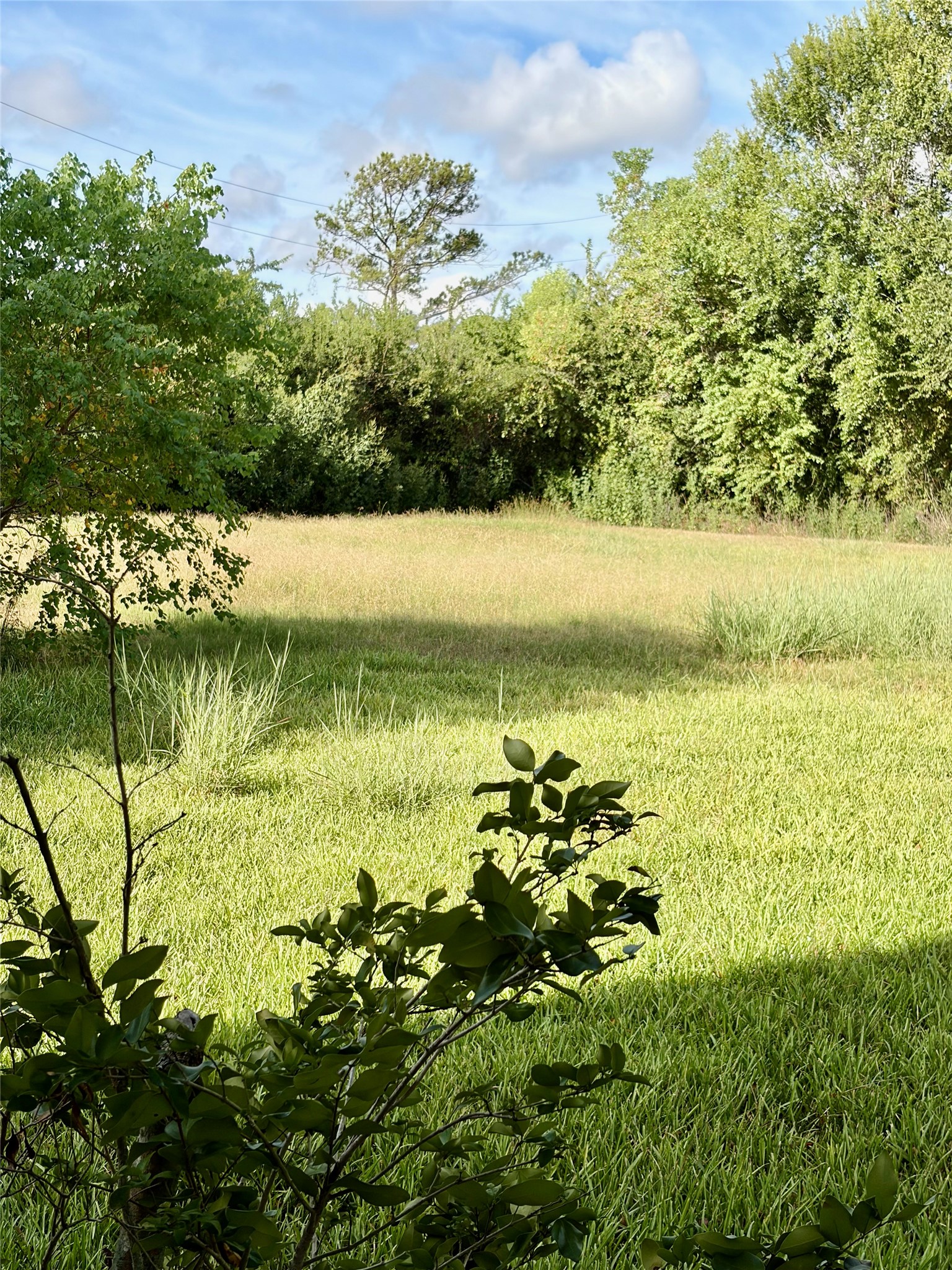 12421 Roy Road Cr105 Property Photo 42
