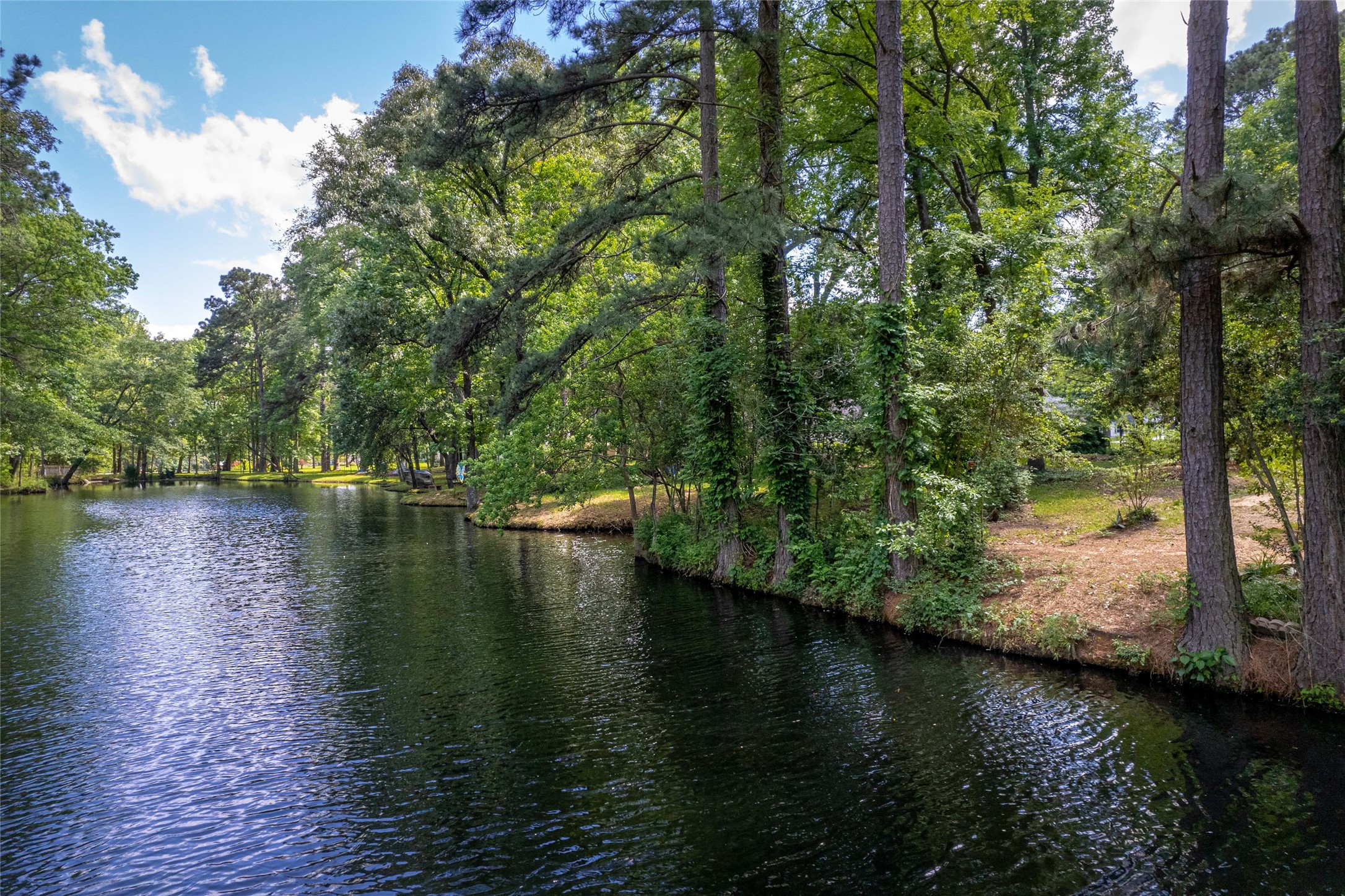 12868 Aries Loop Property Photo 5