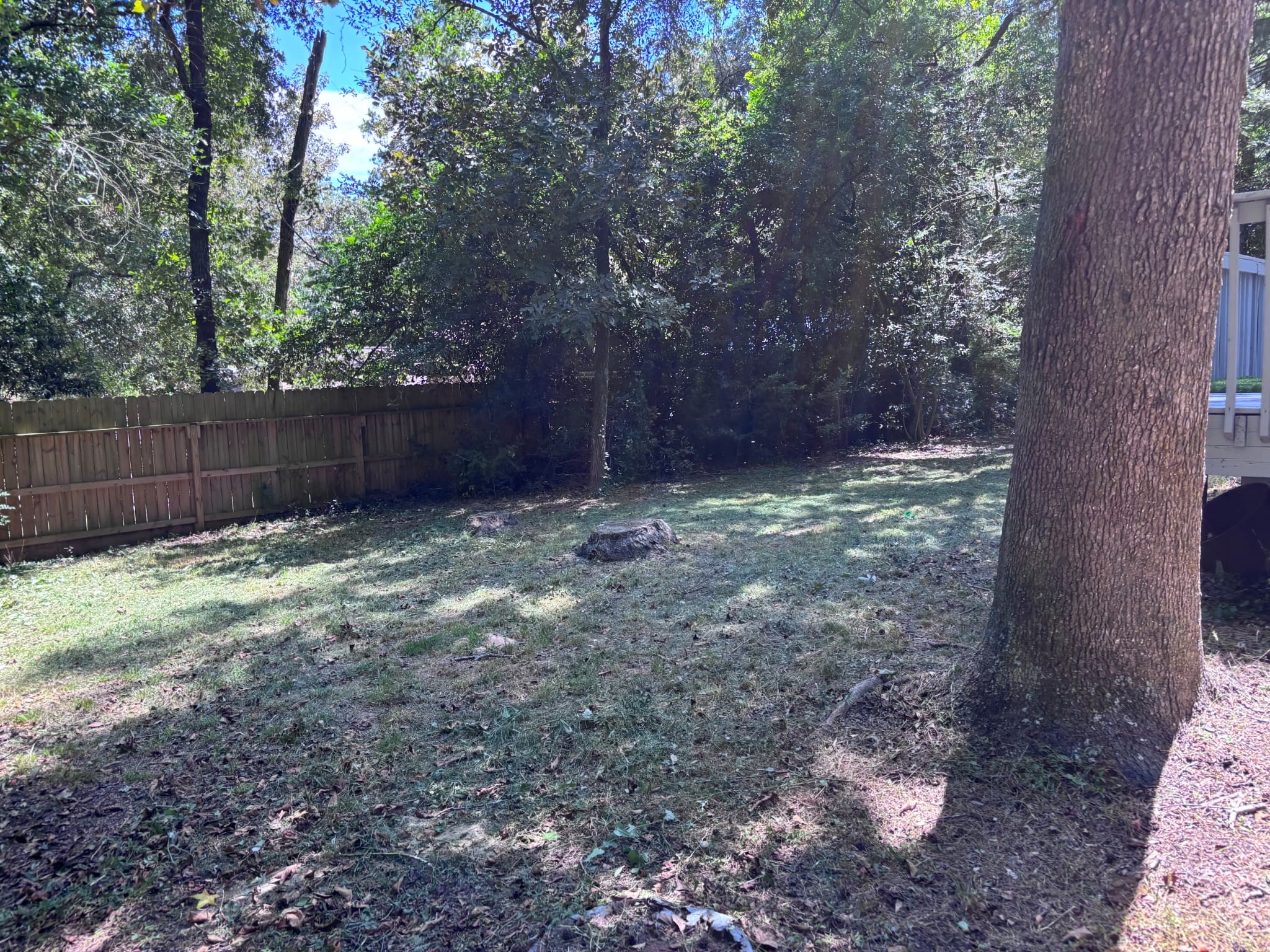 16793 Stinson Lane Property Photo 14