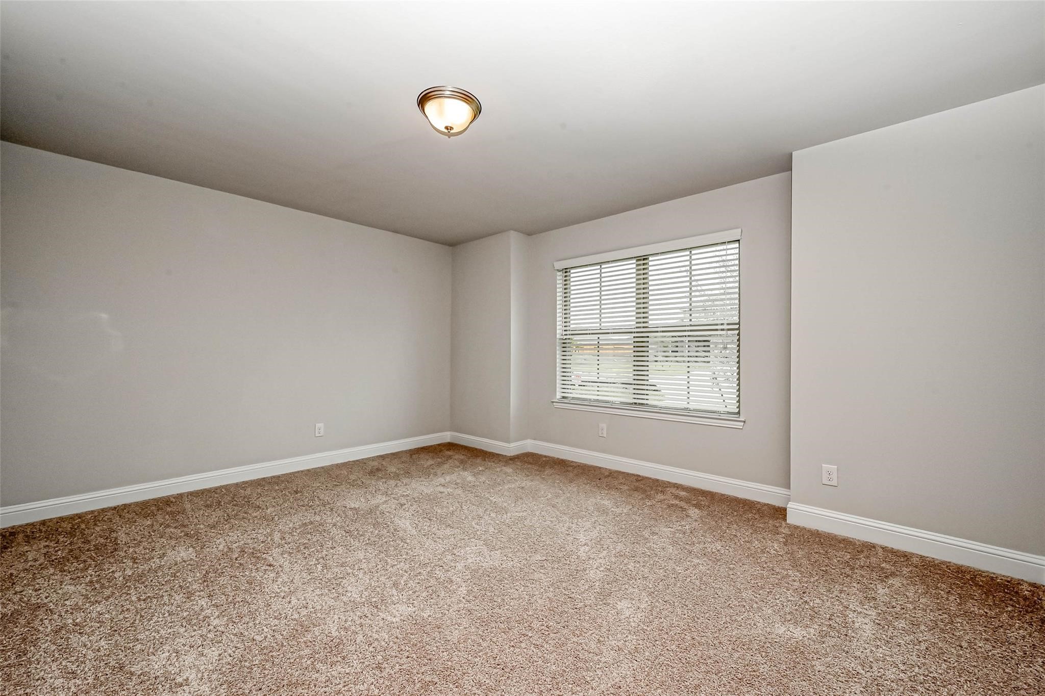 10238 Whitney Reach Drive Property Photo 18