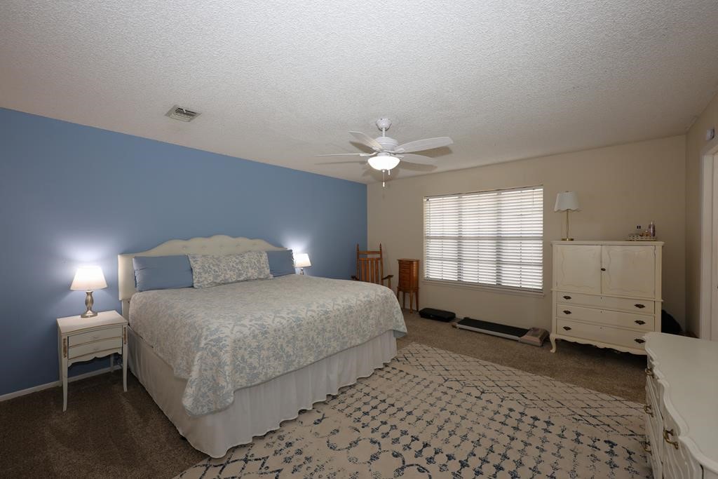 235 Spring Branch Street Property Photo 4
