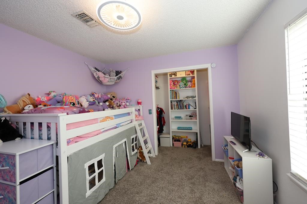 235 Spring Branch Street Property Photo 17