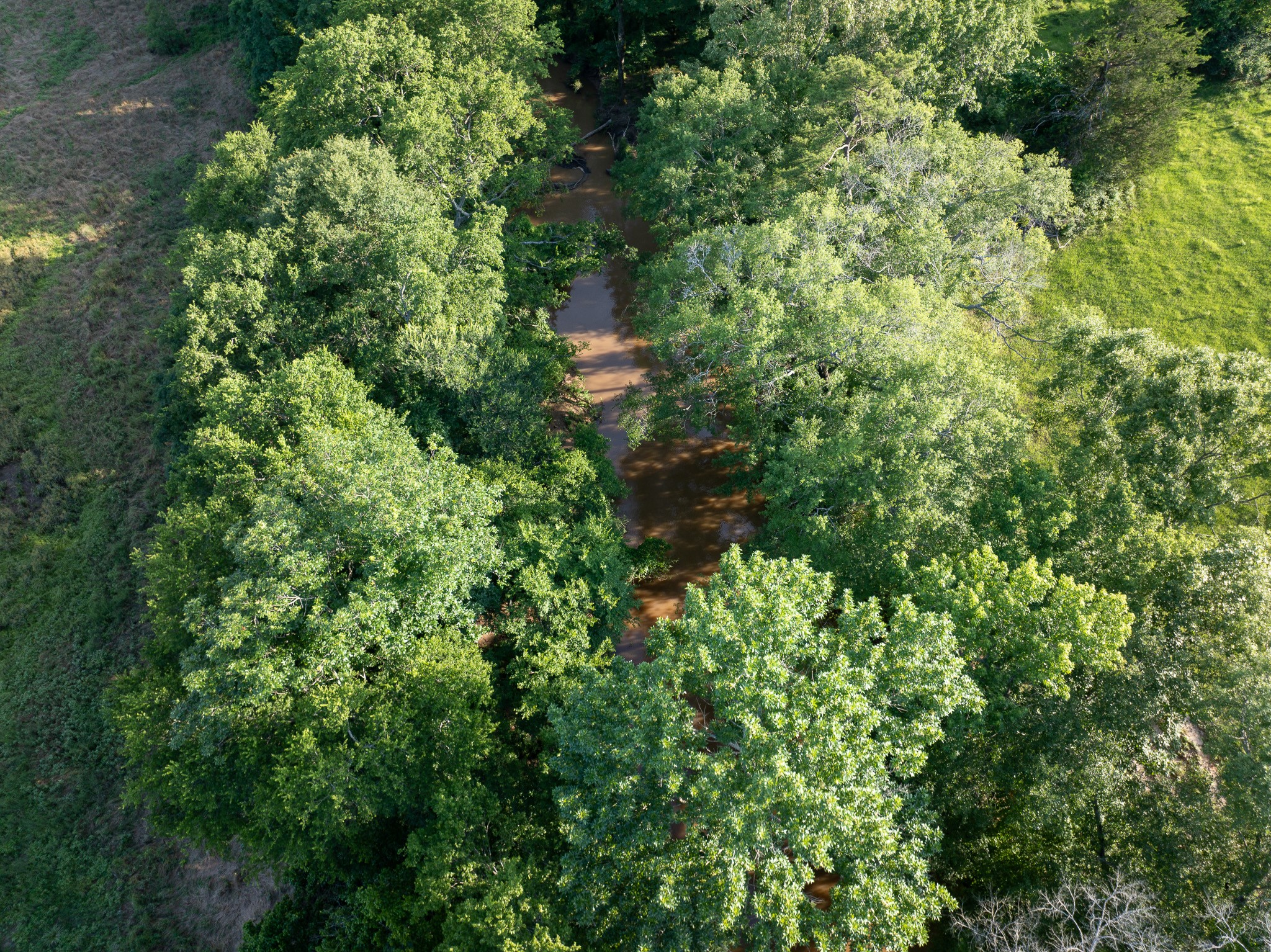 000 Highway 7 Property Photo 13